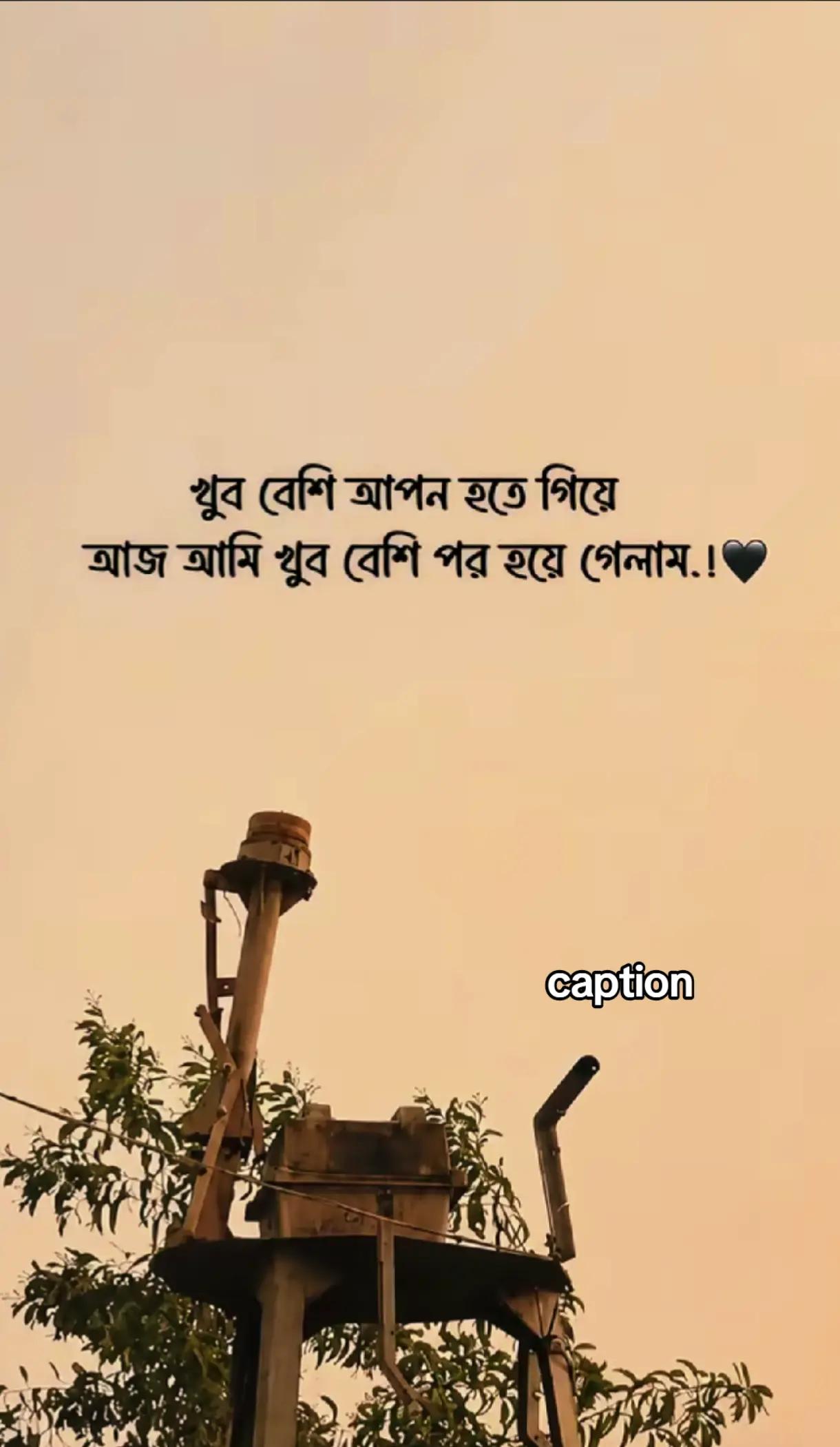 @🕊️&mdash;&laquo;:𐙚⋆ A~ for~&deg;｡⋆♡&mdash;🕊️