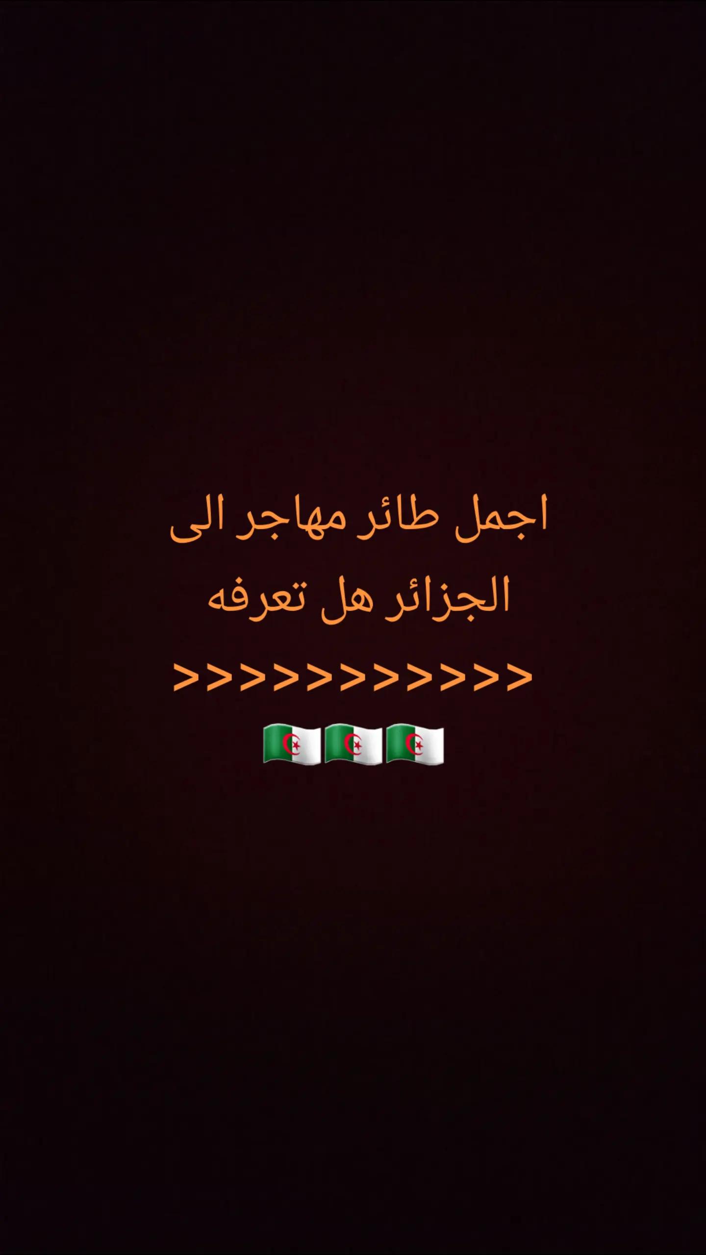 @ramziaouadj93
