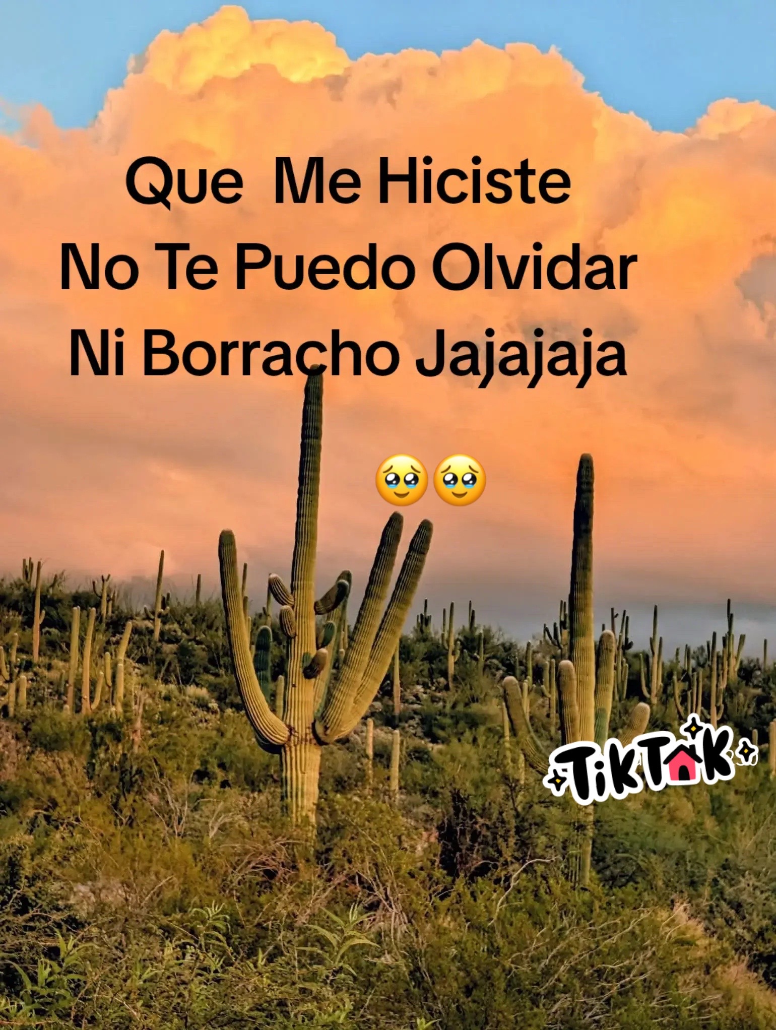@Mc&rdquo;mynor🦘cinto Orozco 🫵🏻⚔️
