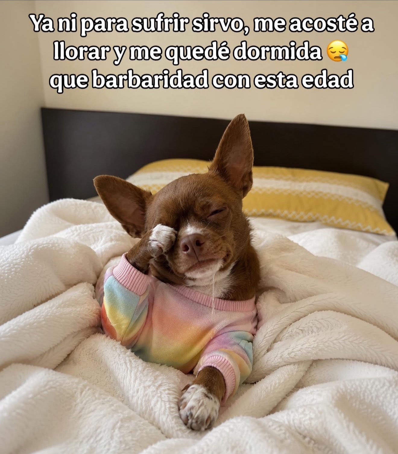 @Shenita santos 🩵🦕🦋