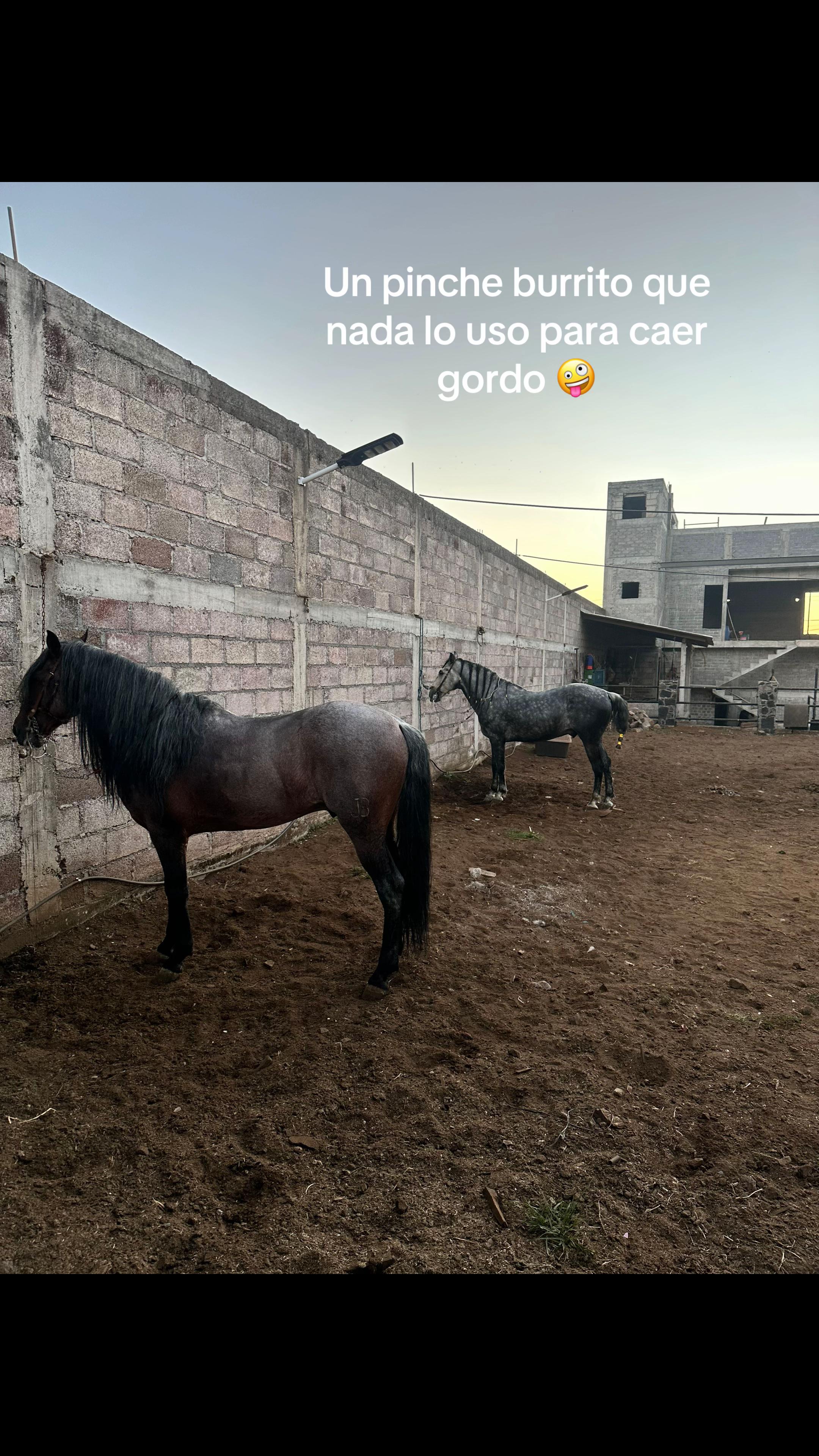 @Julio César