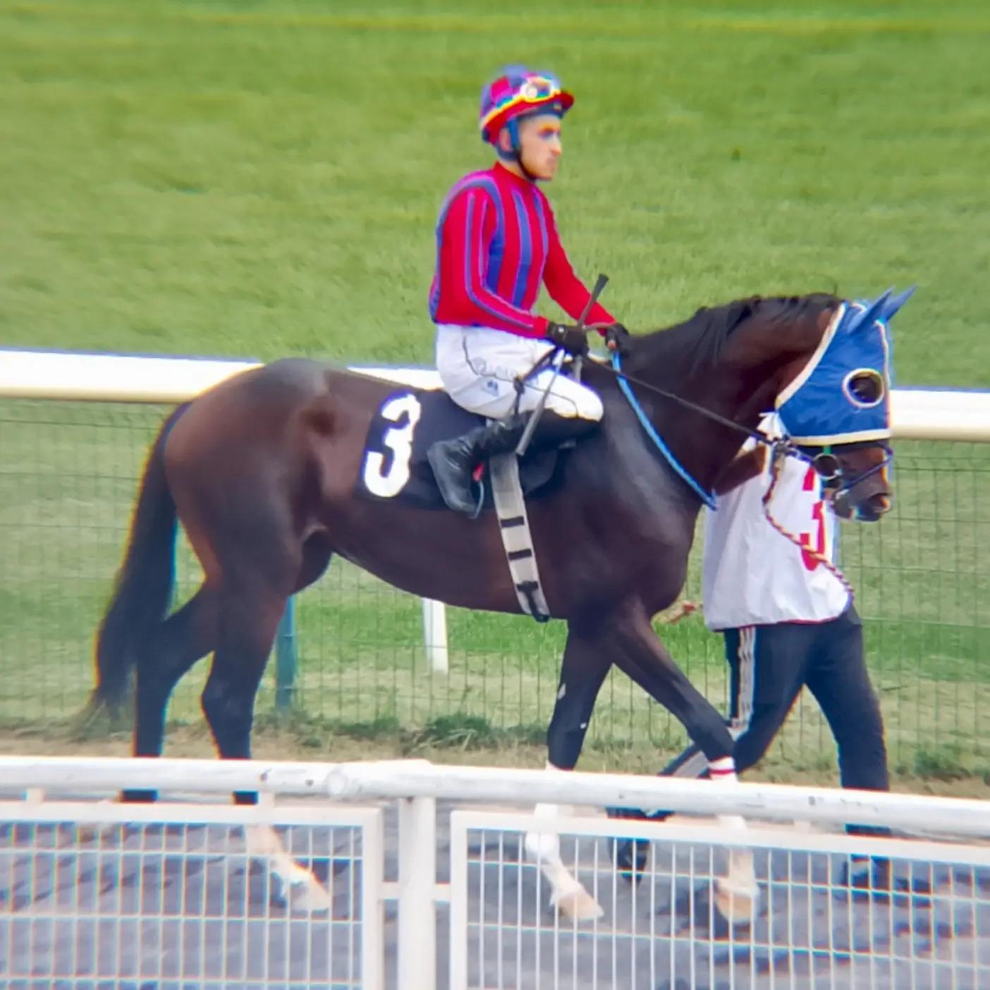 @brs horse racing