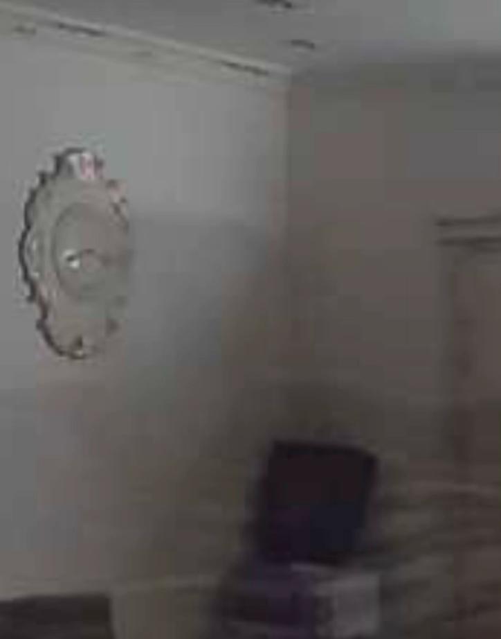 @tittacostanzoapice1