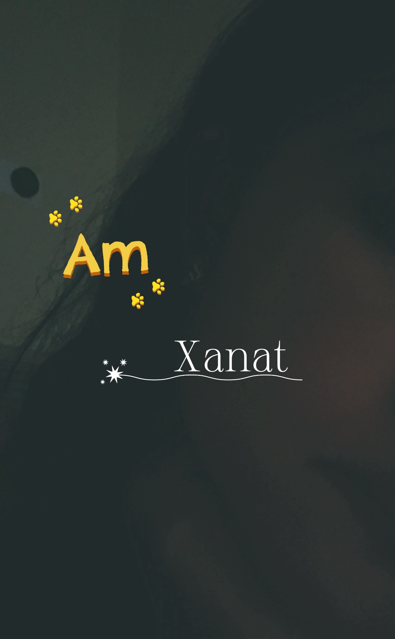@*ੈ✩‧₊˚༺XANAT༻*ੈ✩‧₊˚