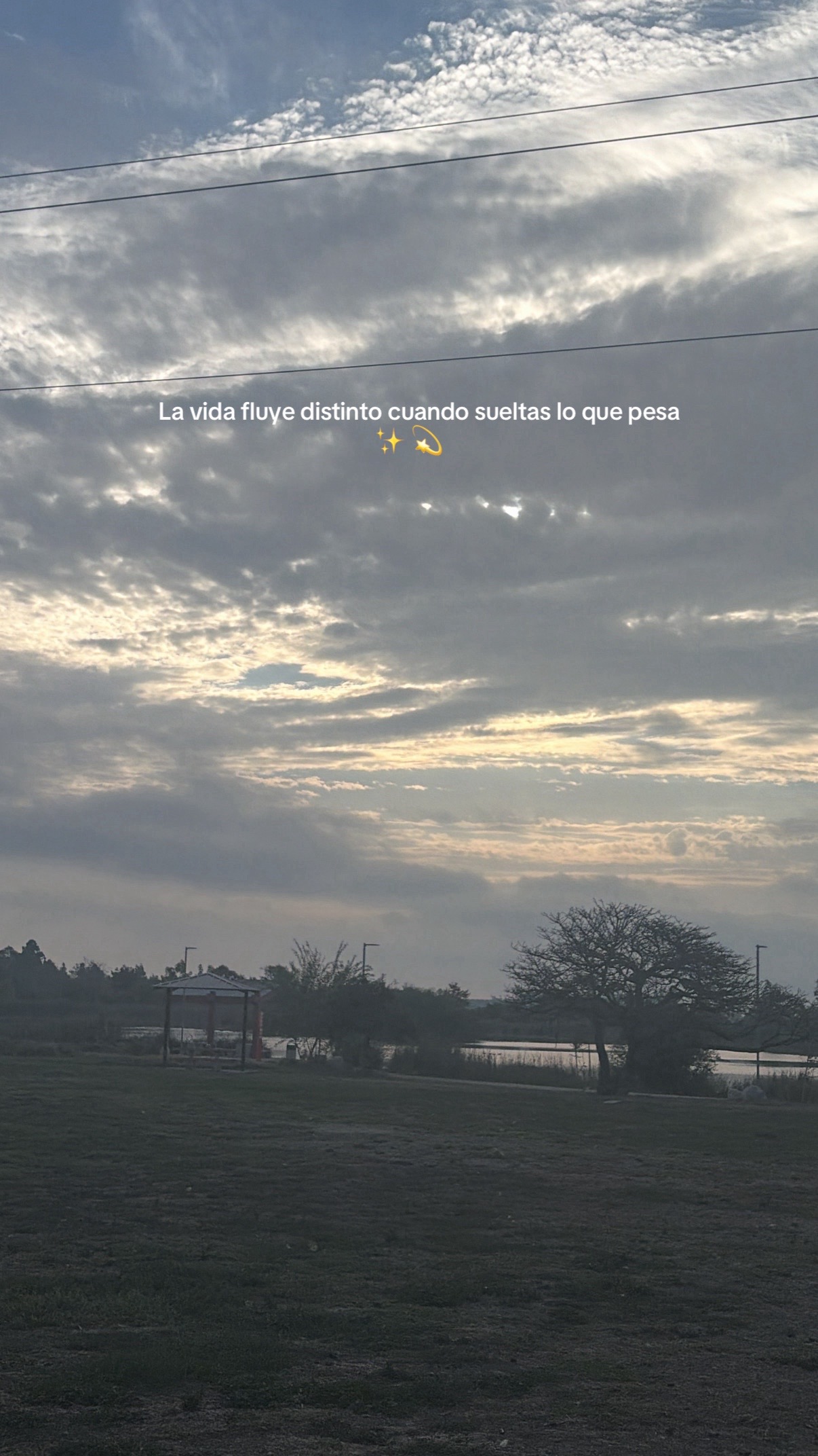 @Yuri Alvarado