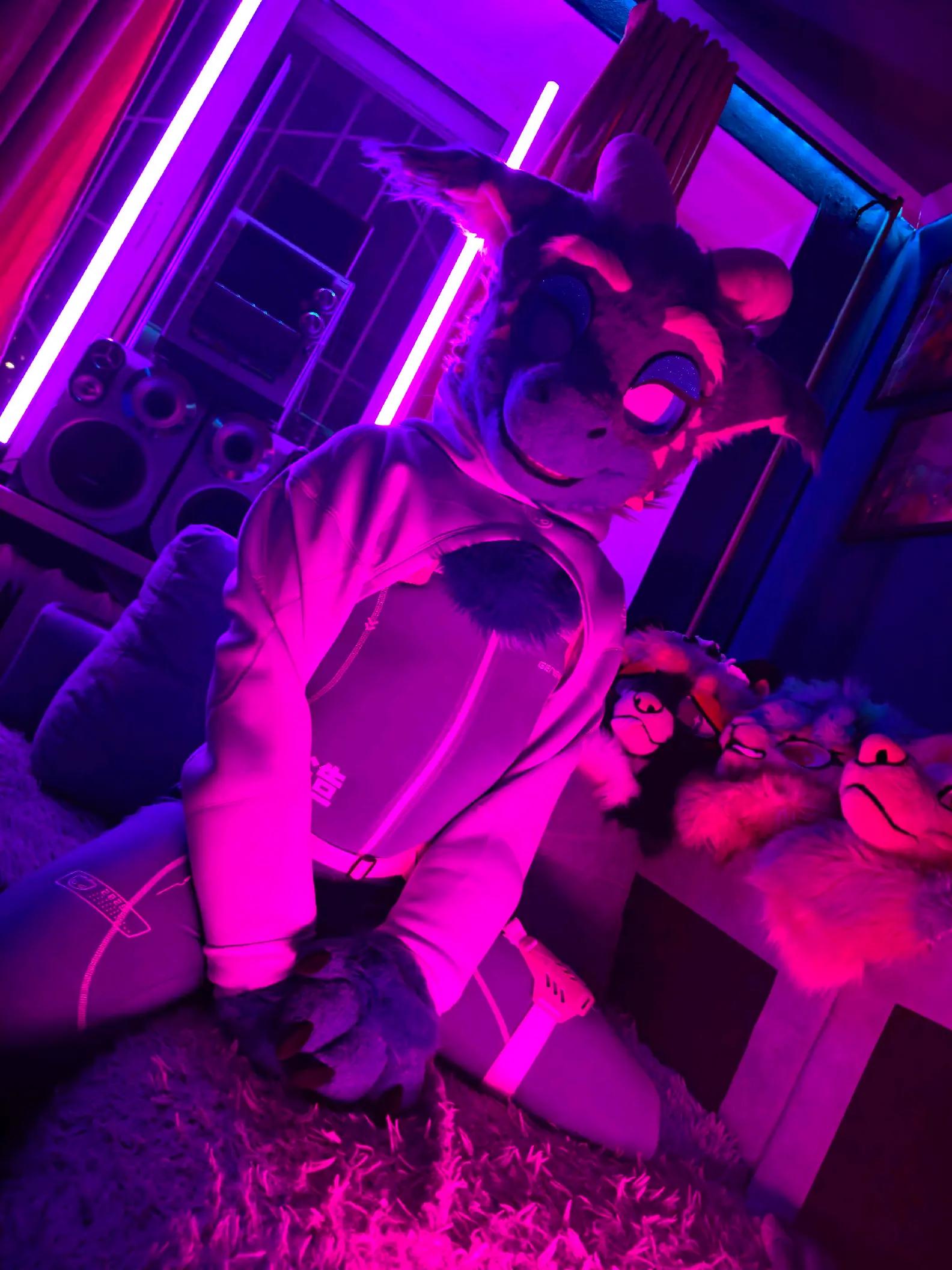 @🍇💠«𝓥𝓪𝓲𝓵 »💠🍇