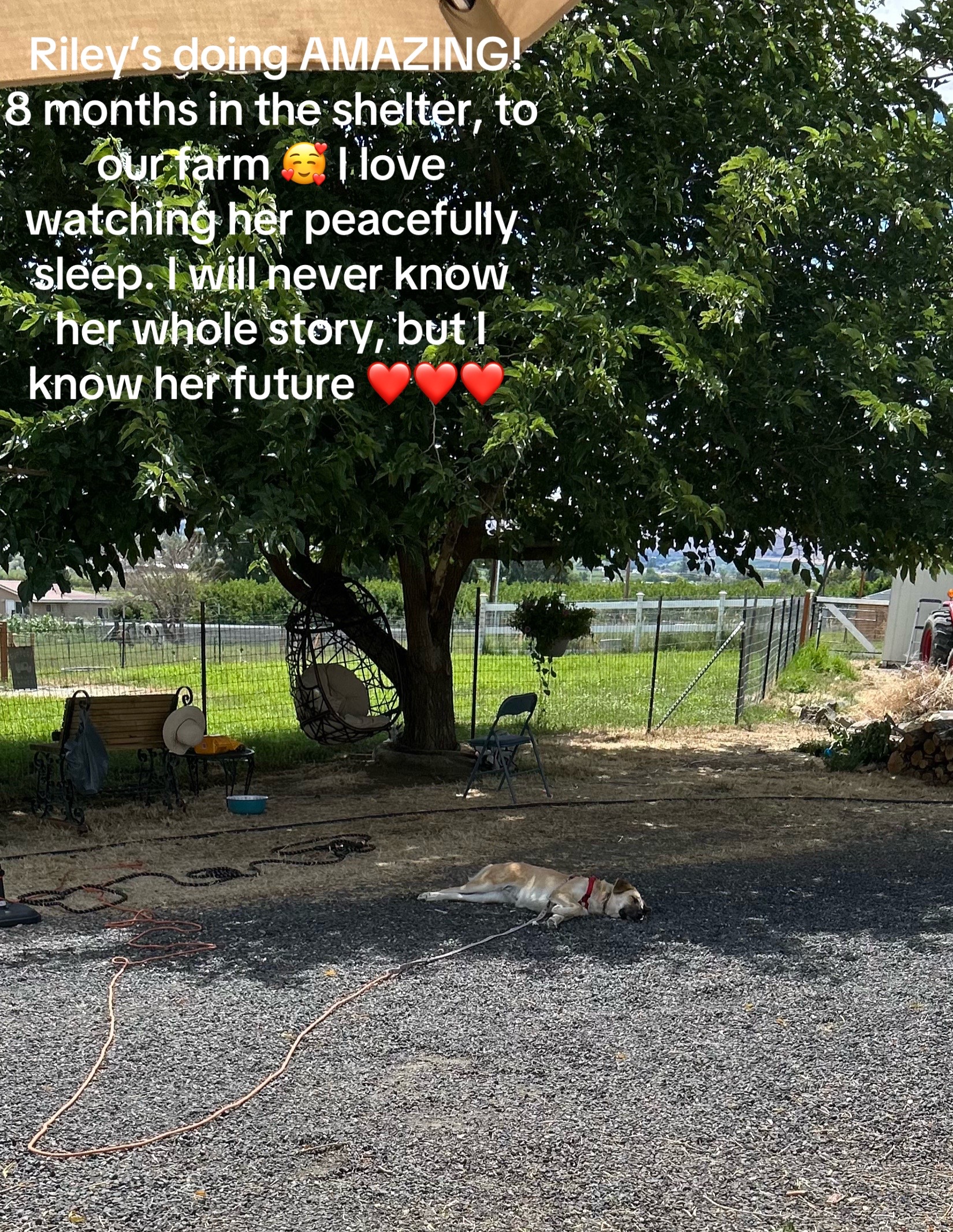 @WollamFarm