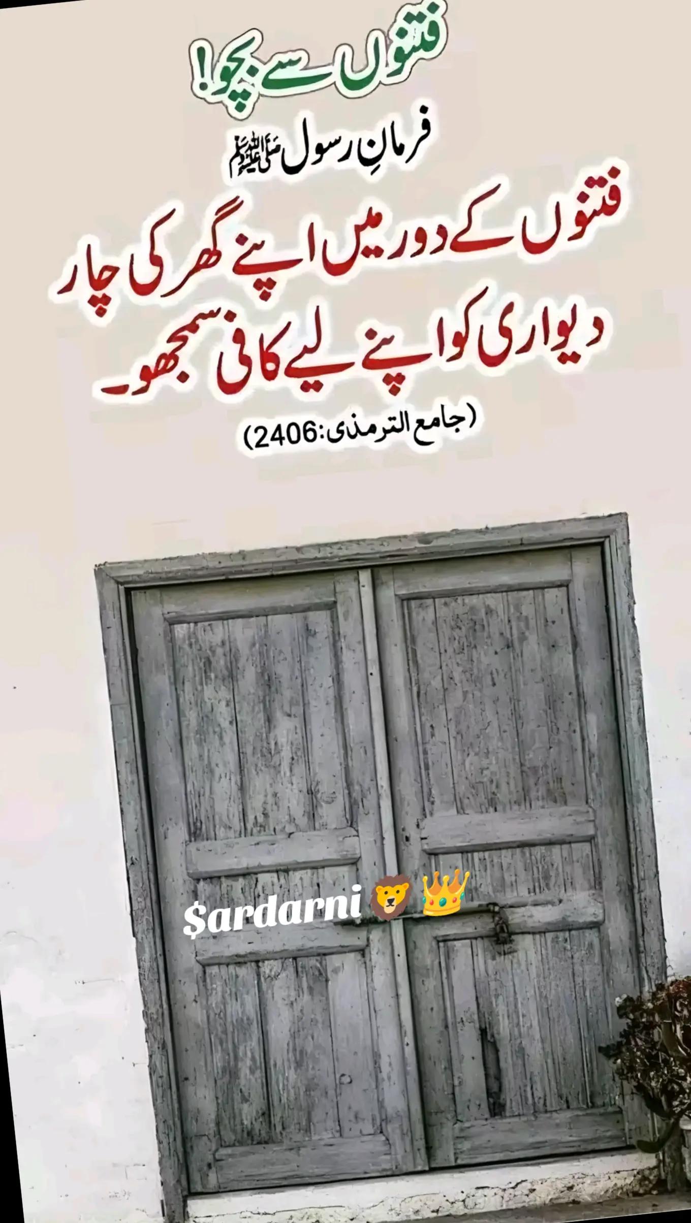 @👑🦁$ardarni 🦁👑6