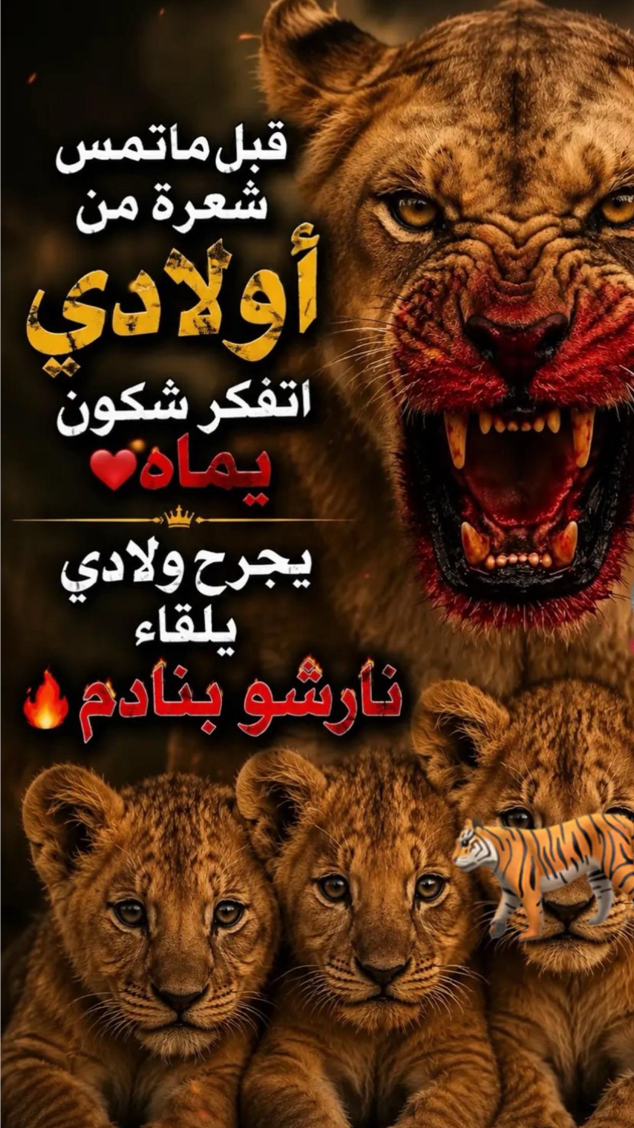@beldjoudiinasse