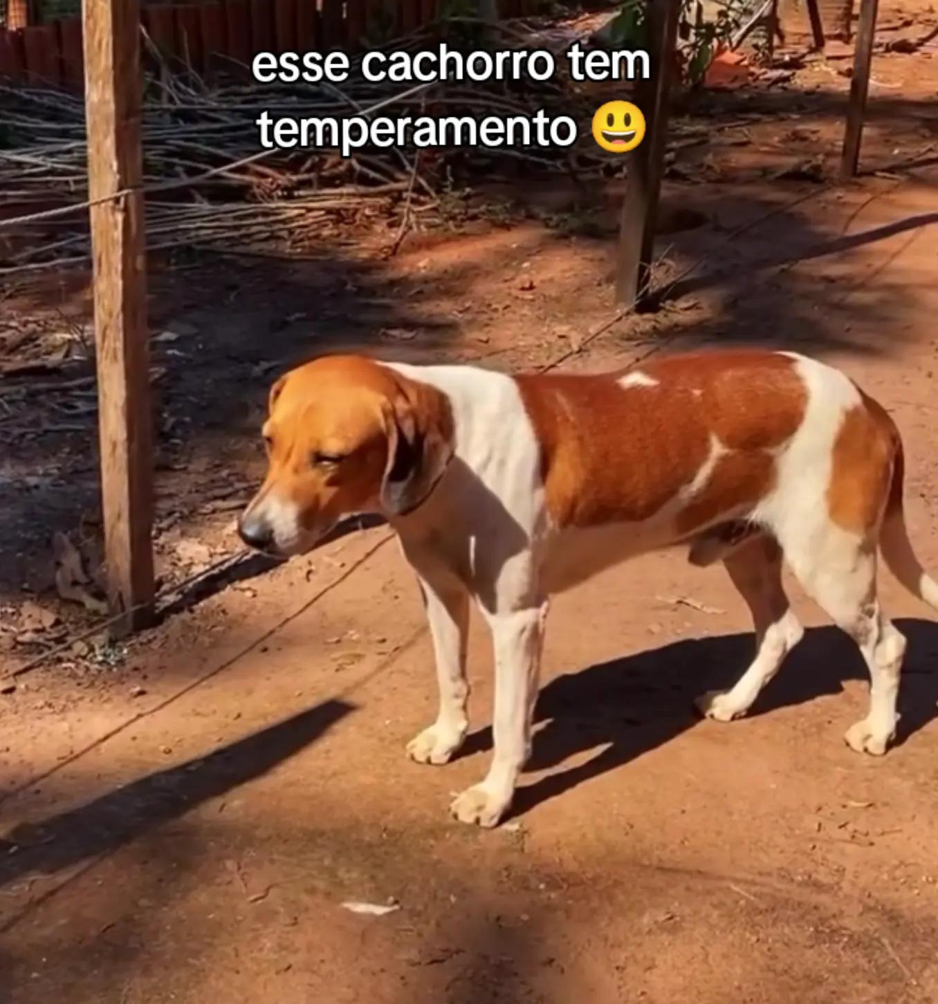 @ÍNDIO DO AGRO 🚜🌱