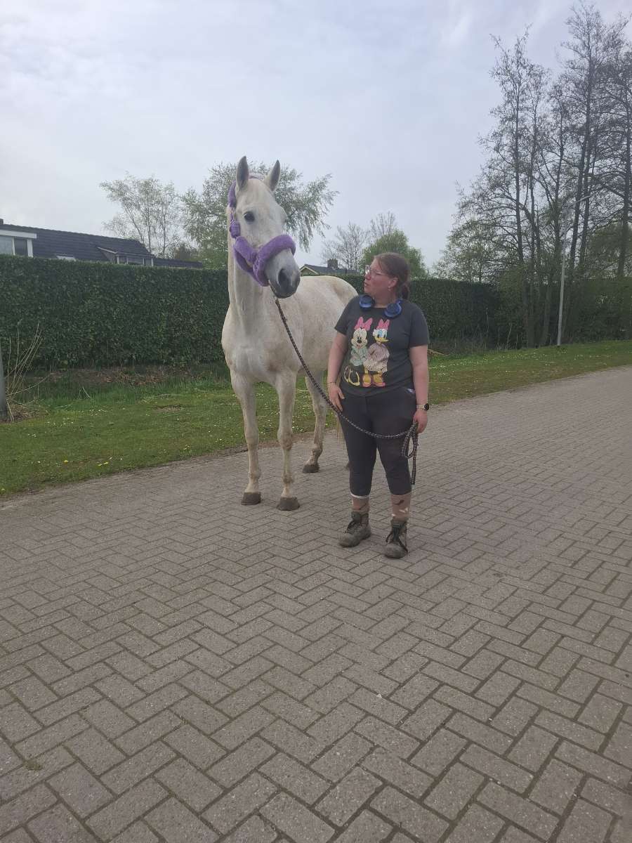 @equi_mandy