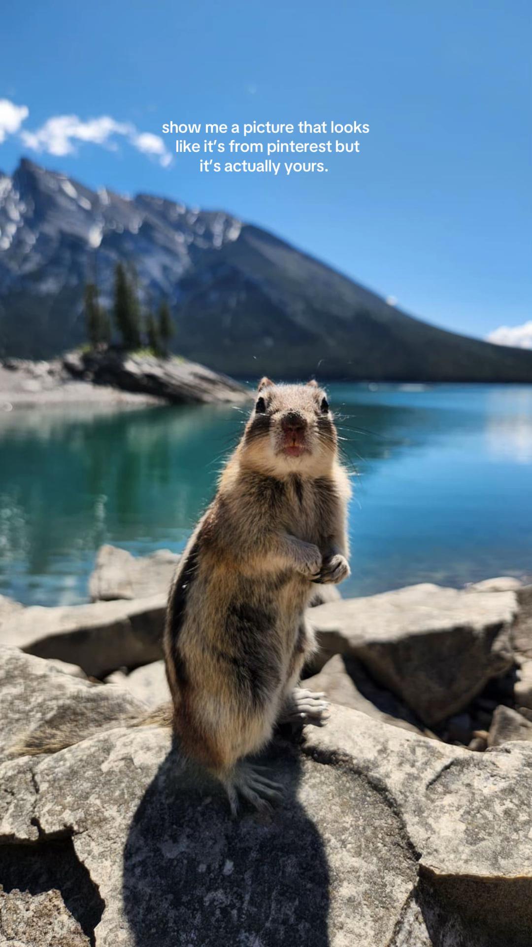 @janaashl 🇨🇦🌿