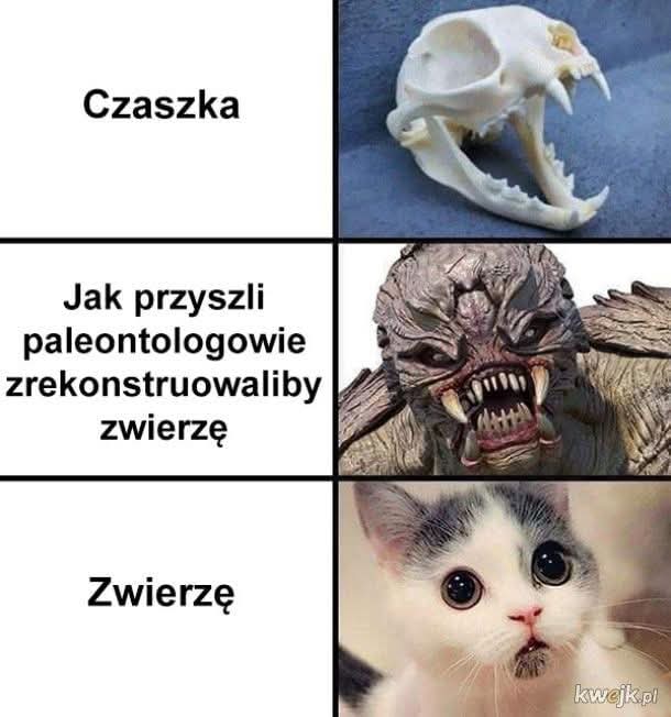 @Mr.zielin