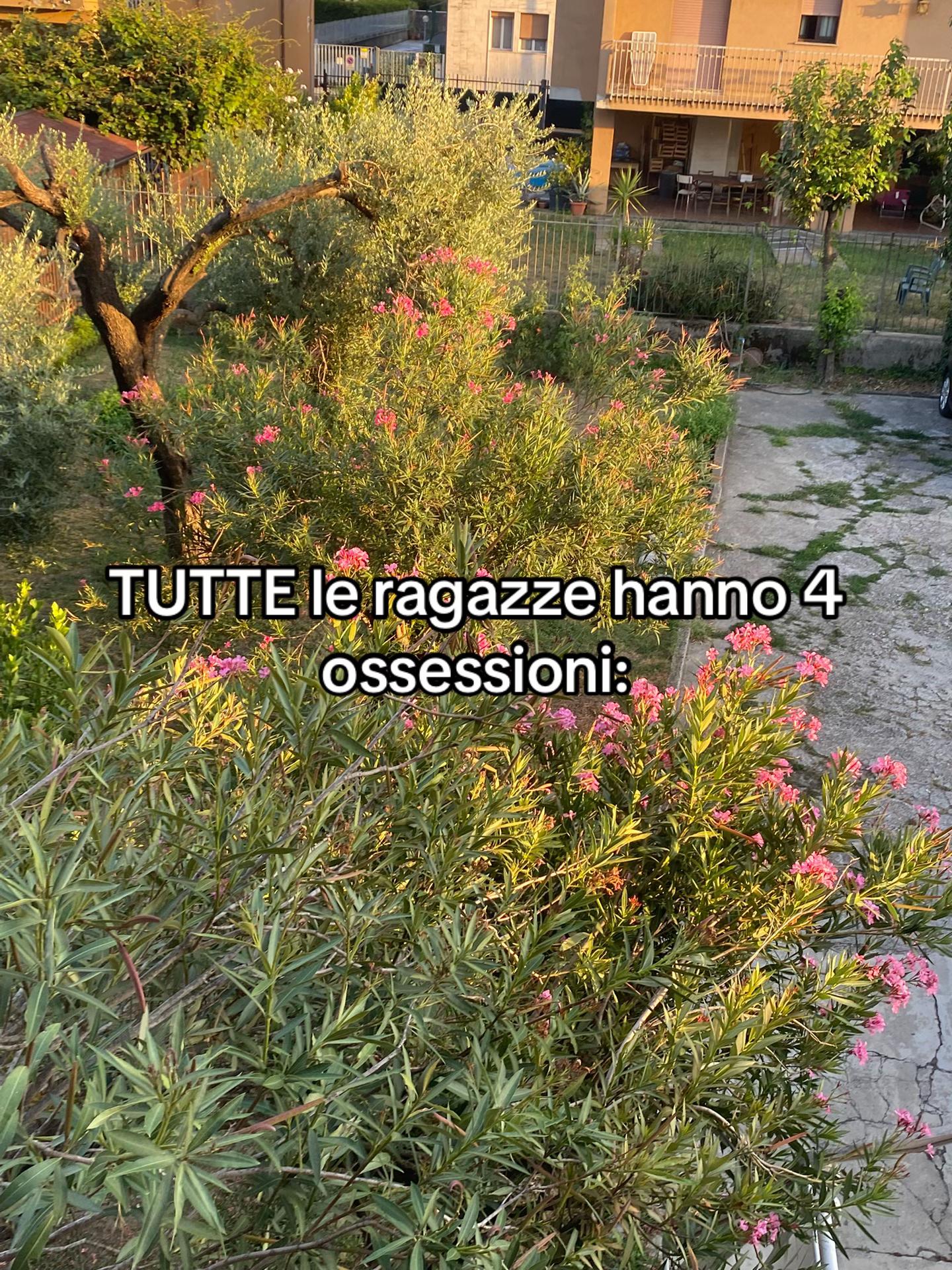 @🌊𝑴🥥