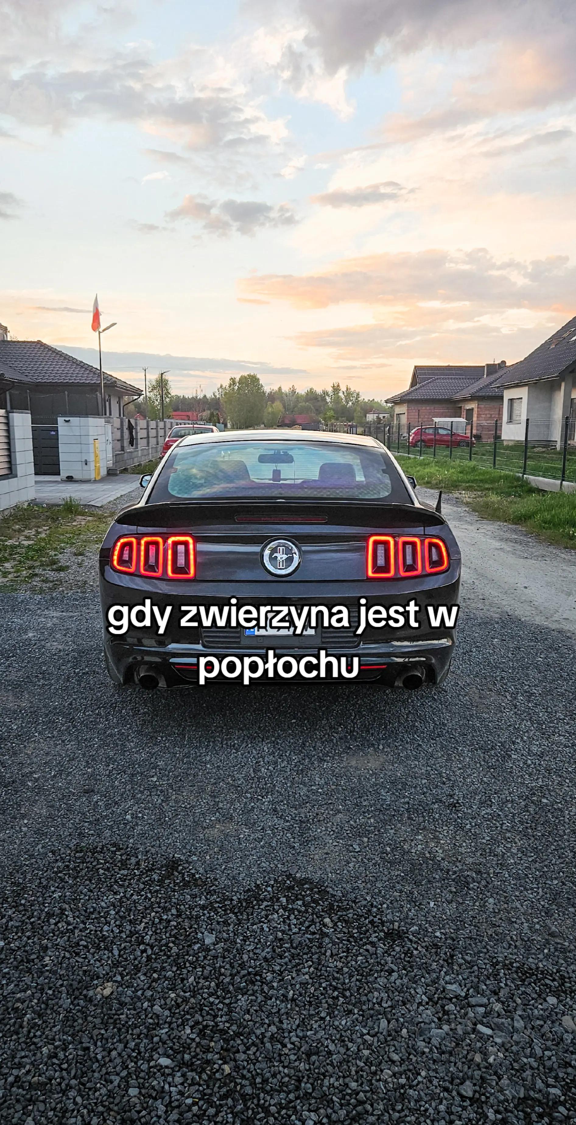 @Kacper