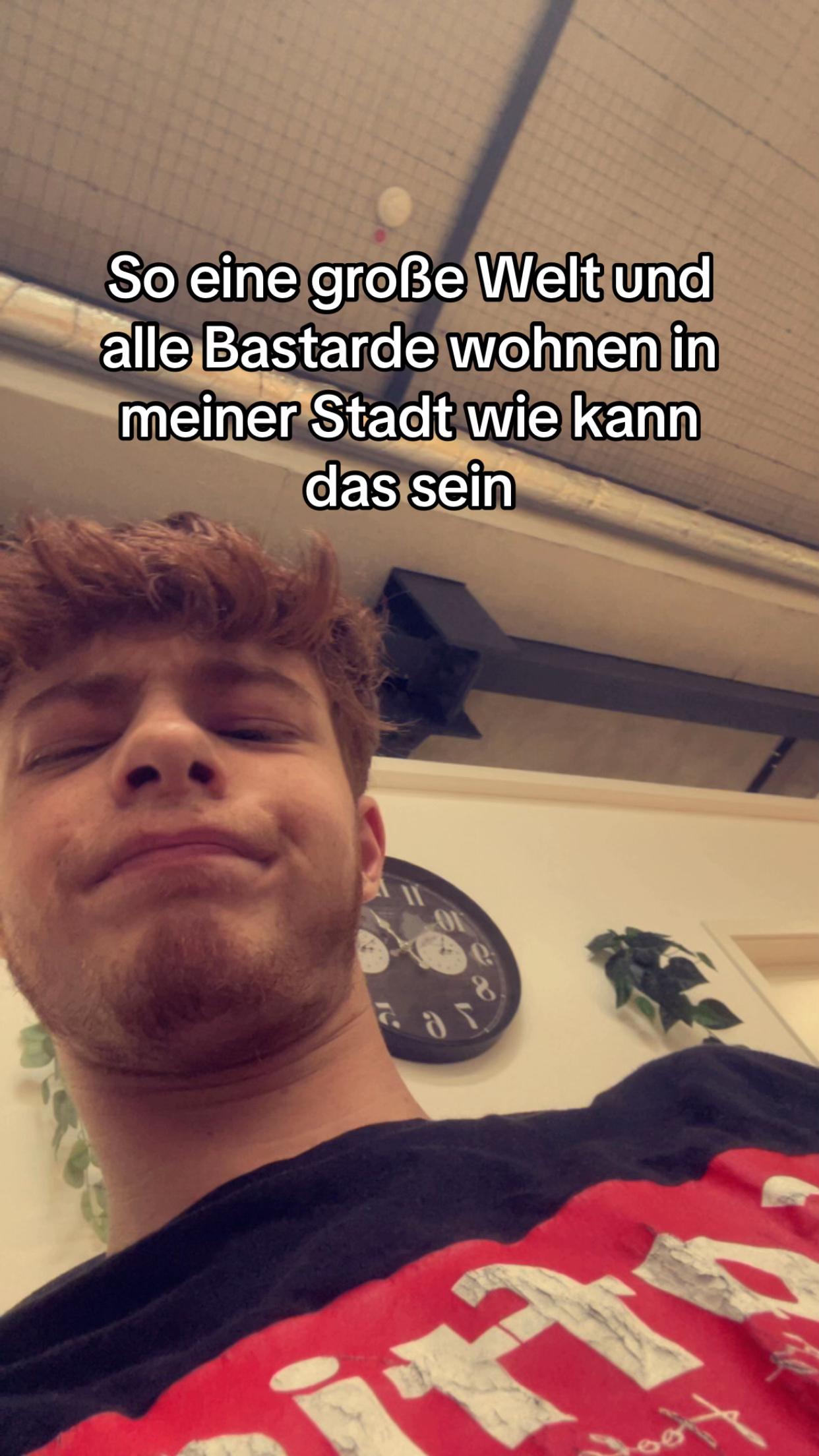 @dimi_Ginger
