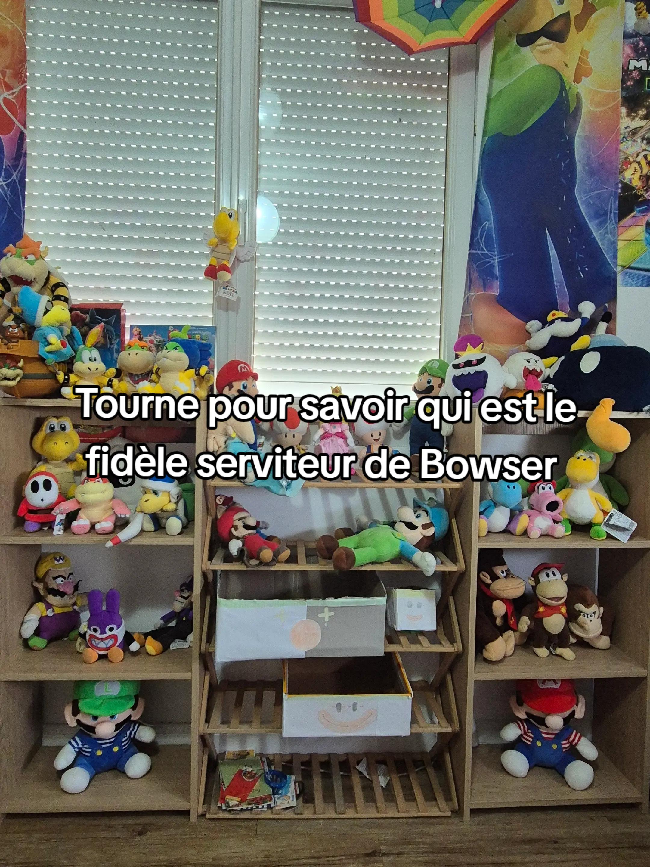 @peluchemario64