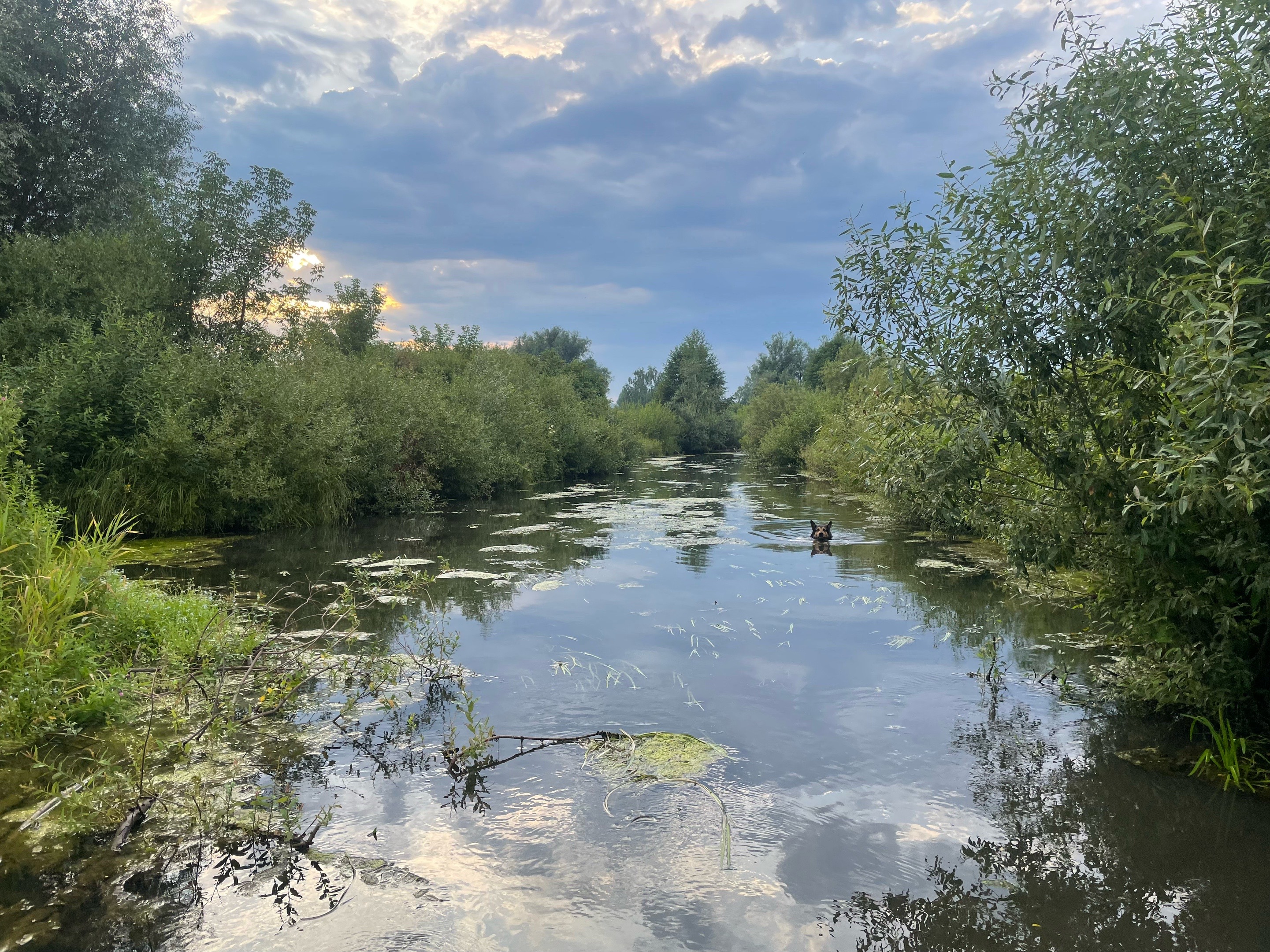 @викуша