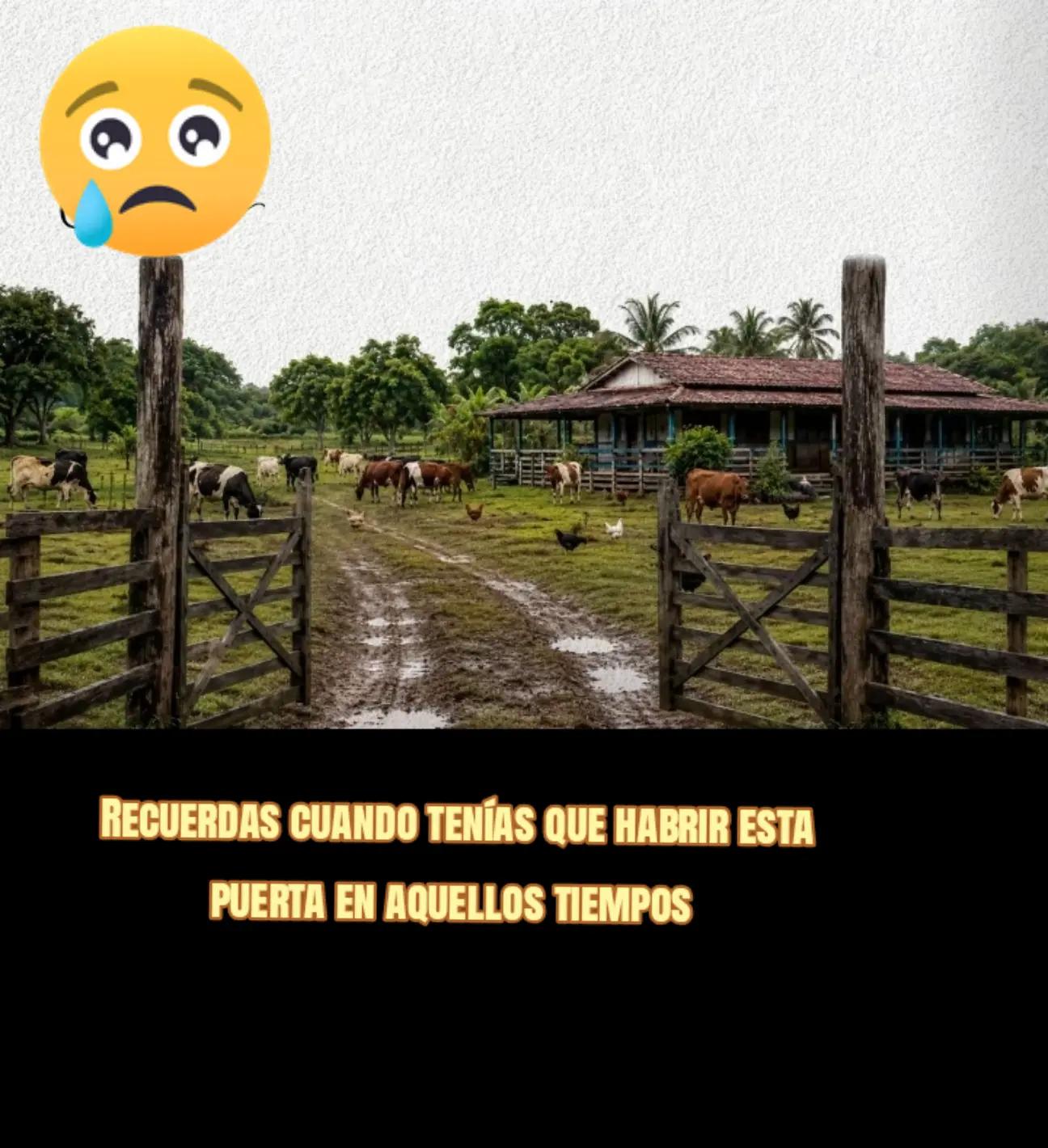@franchescosilvaArreaga🇪🇨🫶