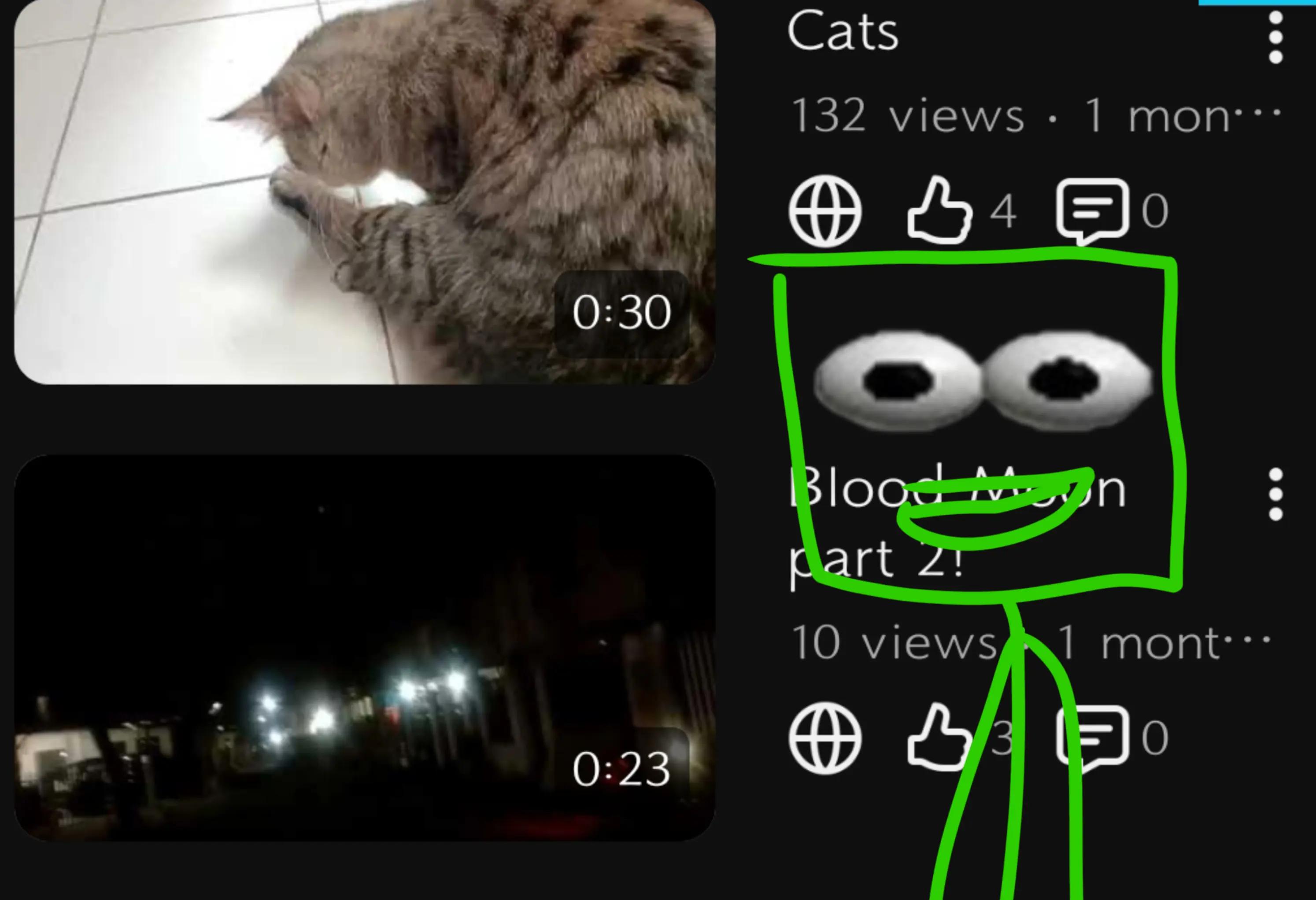 @OfficialGreensnow(Blaizeguy18)