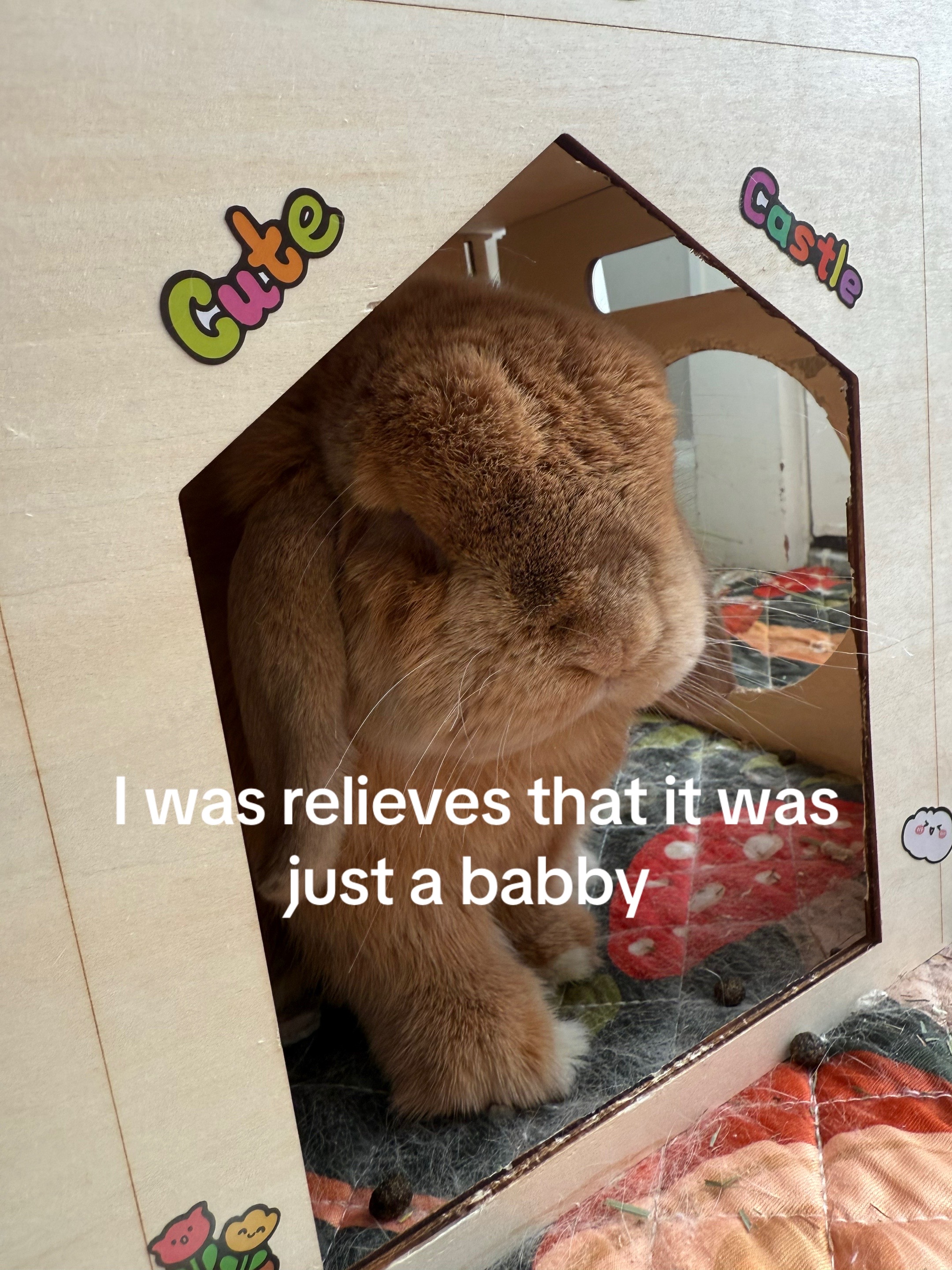 @Otis the Bunny