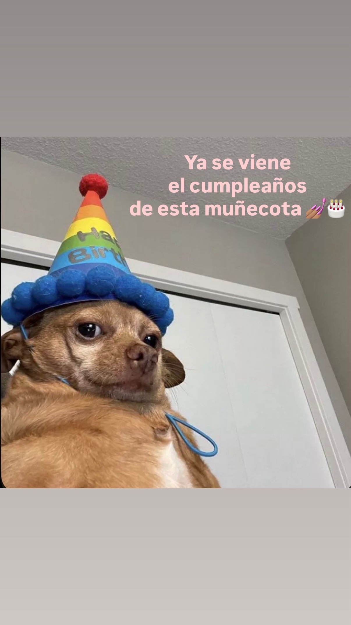 @arisssleon214
