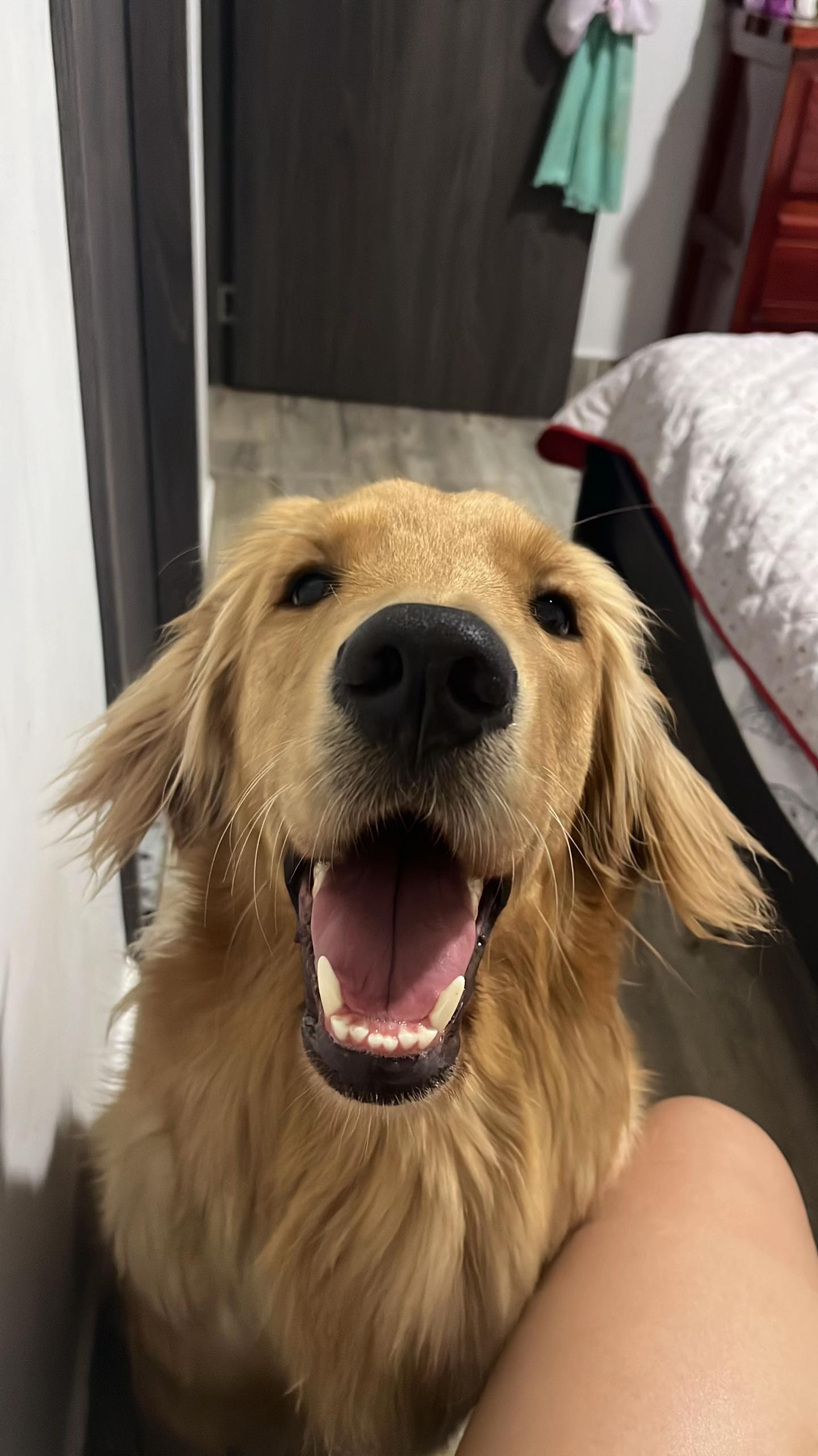 @Mila 🐶