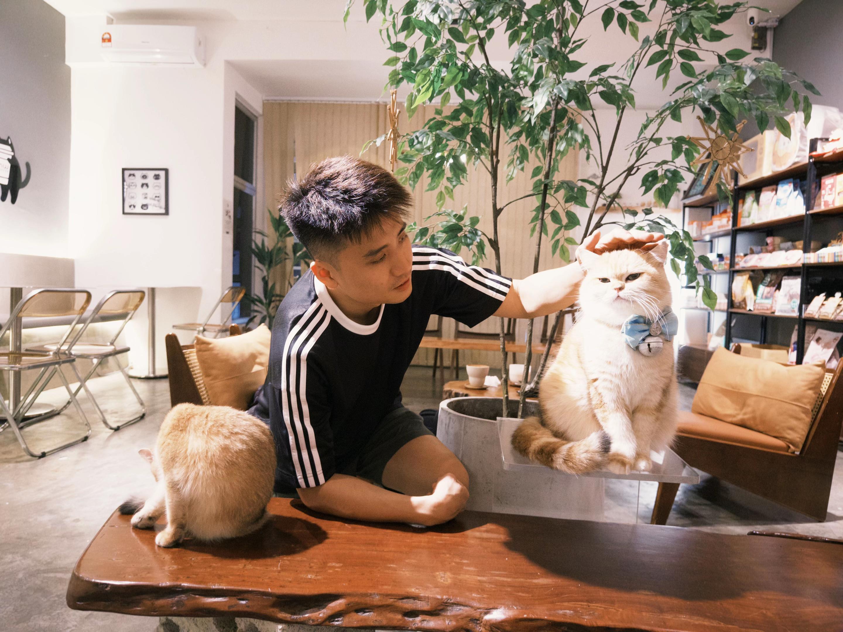@Owenchoy