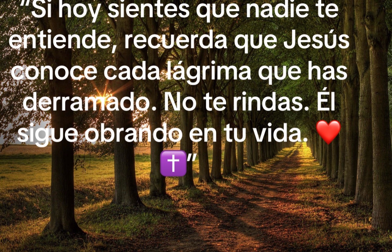 @🙏🏼 Jesús la luz del mundo 🌎