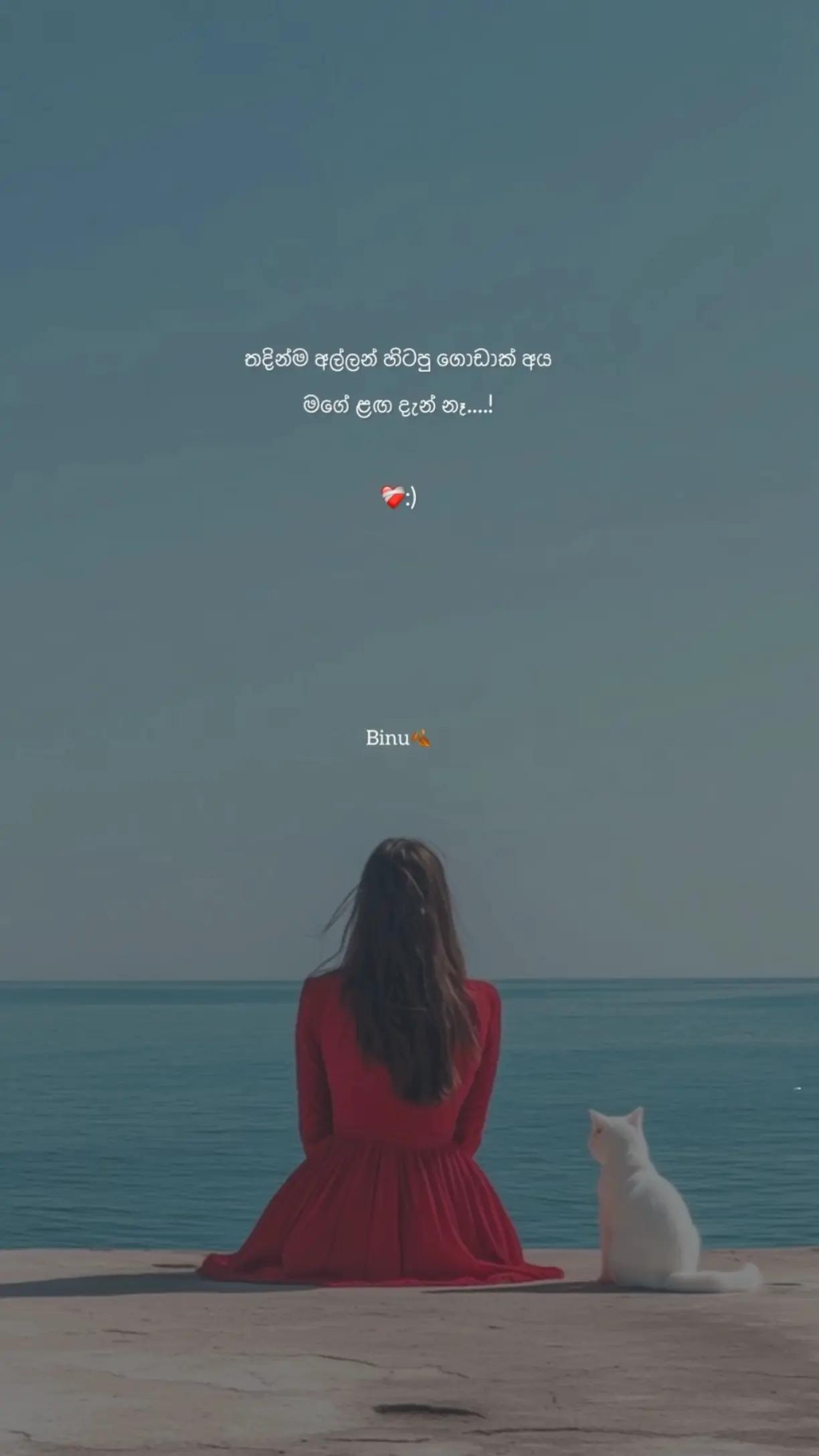 @𝐒 𝐇 𝐀 𝐒 𝐇 𝐈🌀⛈️