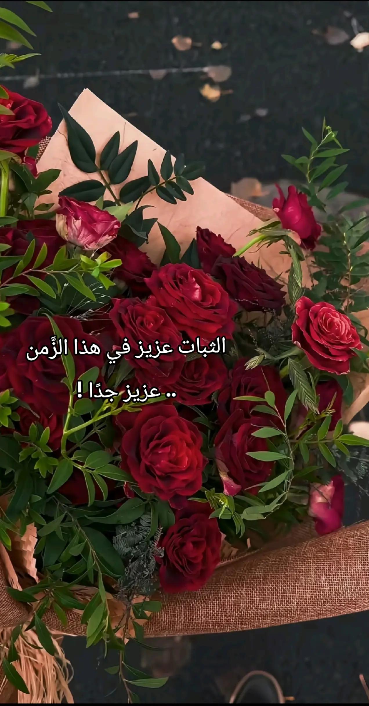 @🌹 خَلَفْ لِخَيْرِ سلَفْ 🌸📚