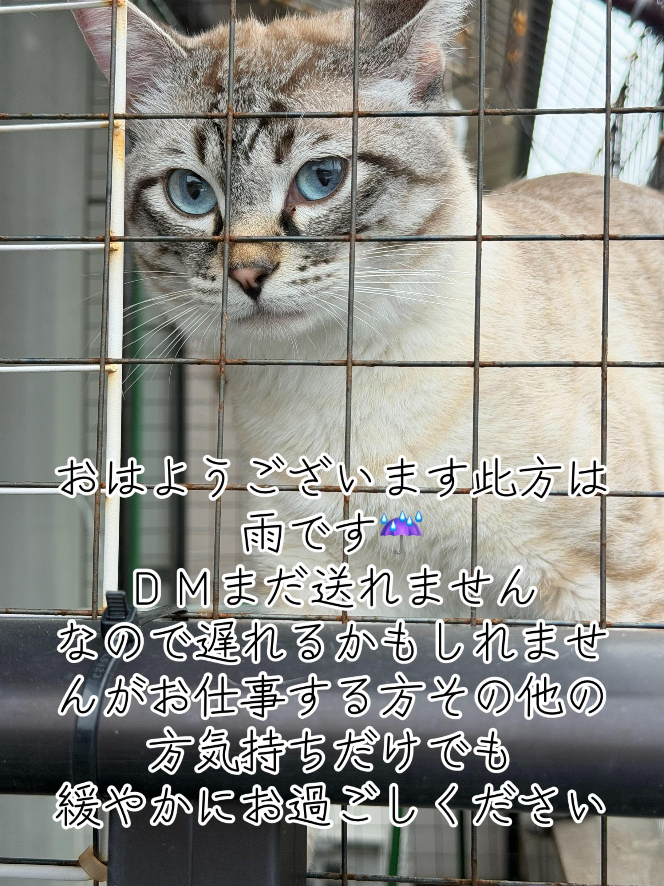 @ð¥é»æŸ€æ£å¿ð¥