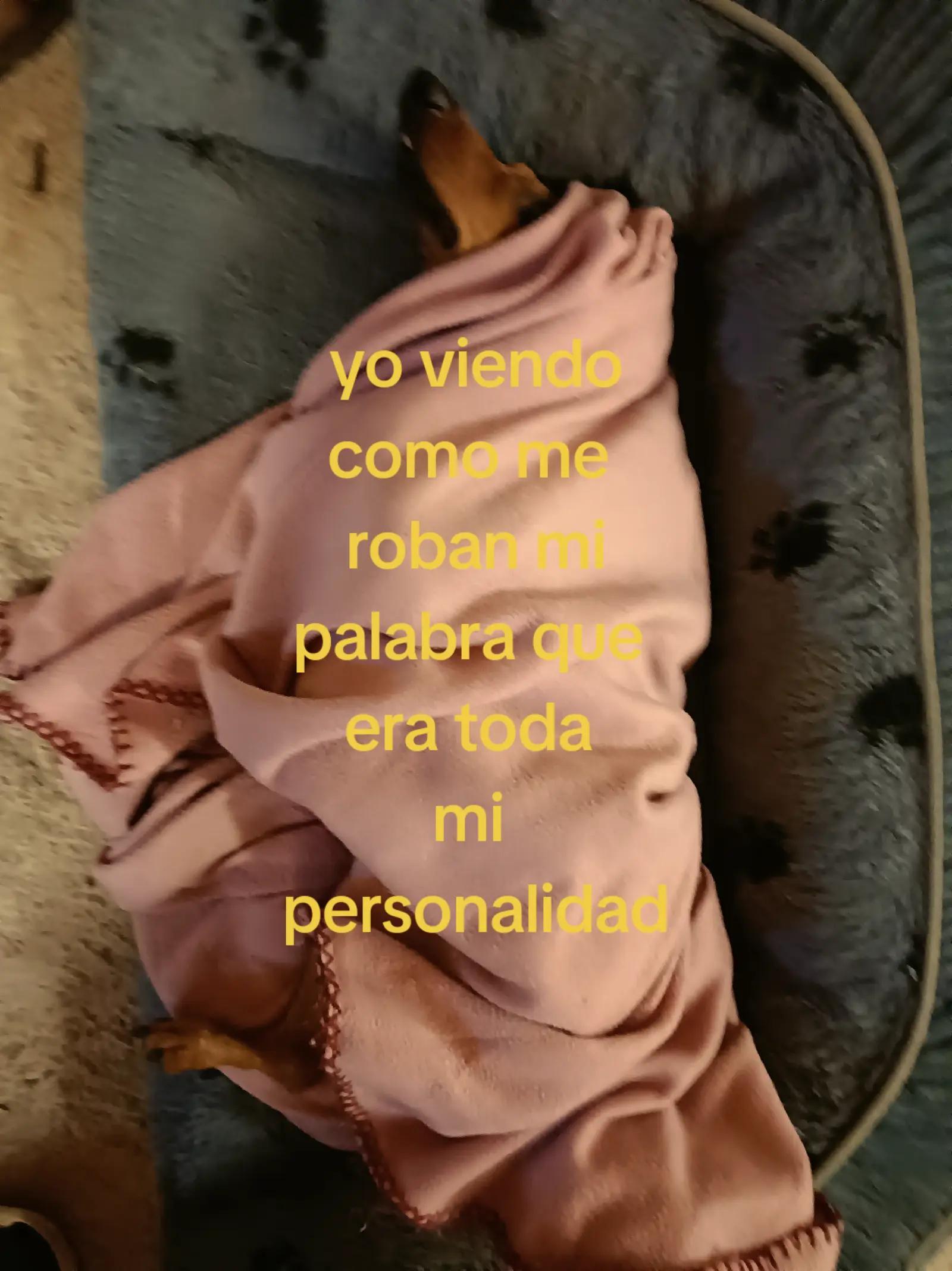 @🌷𝓪𝓶𝓪𝓷𝓭𝓪✨