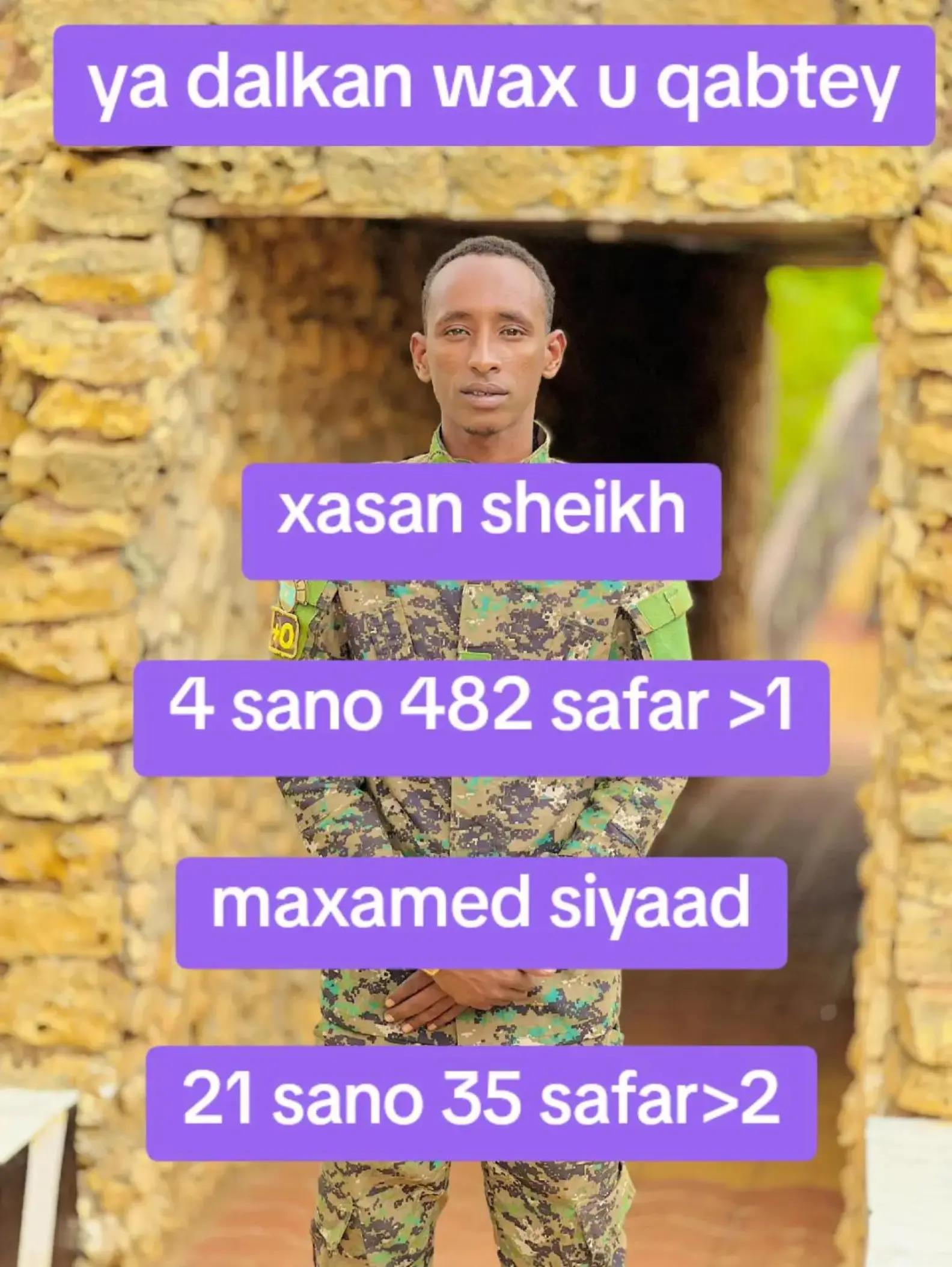@maamulka degmada berdaale