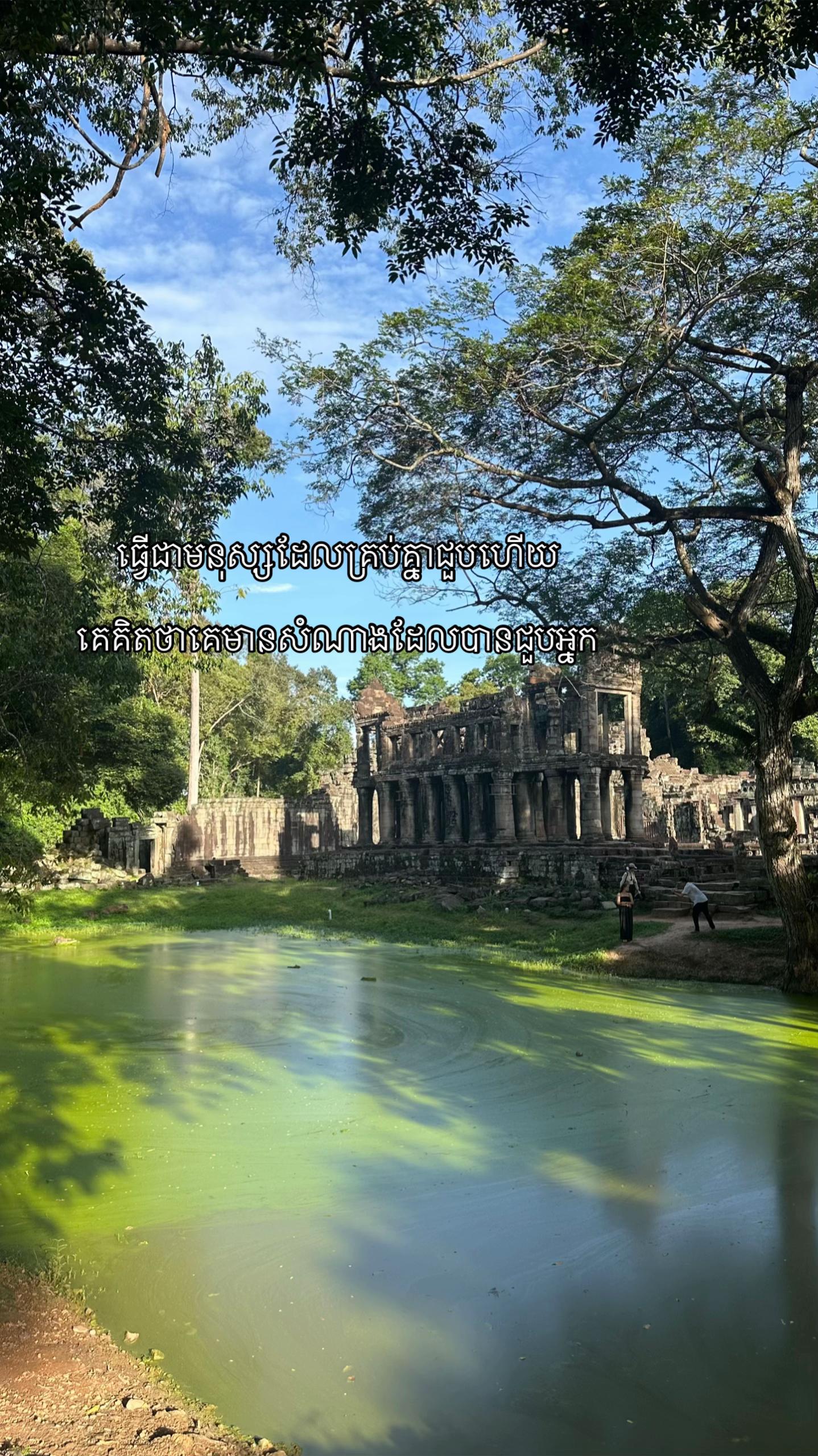 @tonghab