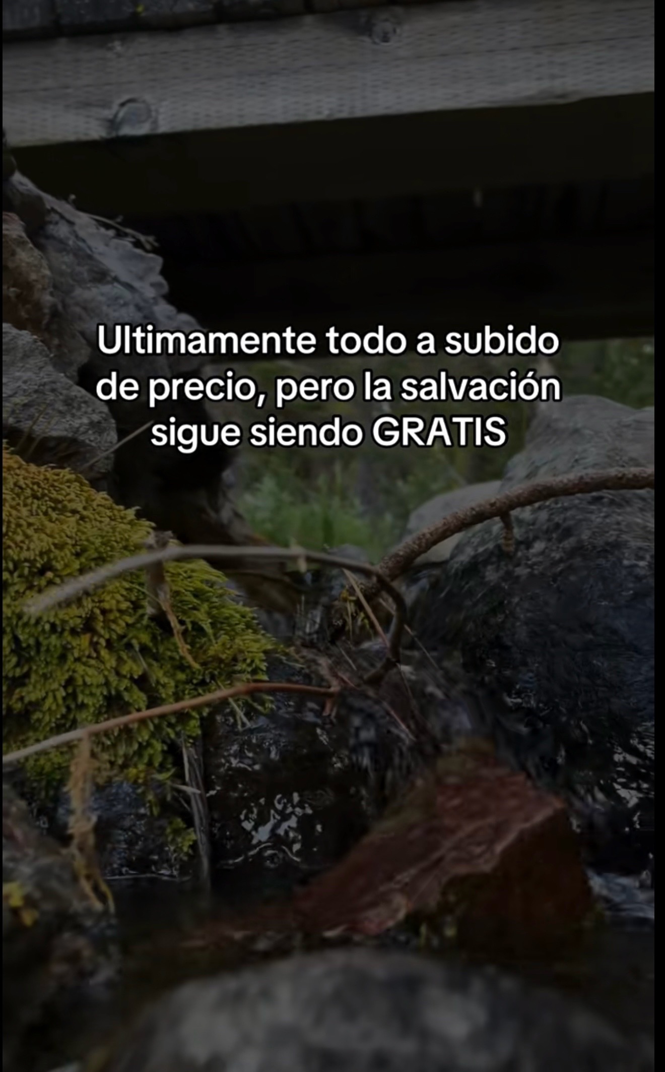 @Keily funes
