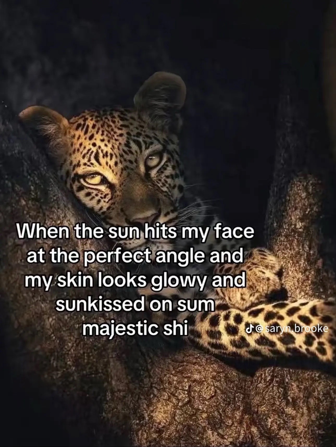 @kyraaa