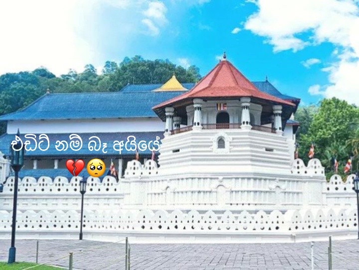 @Shaggii......$/