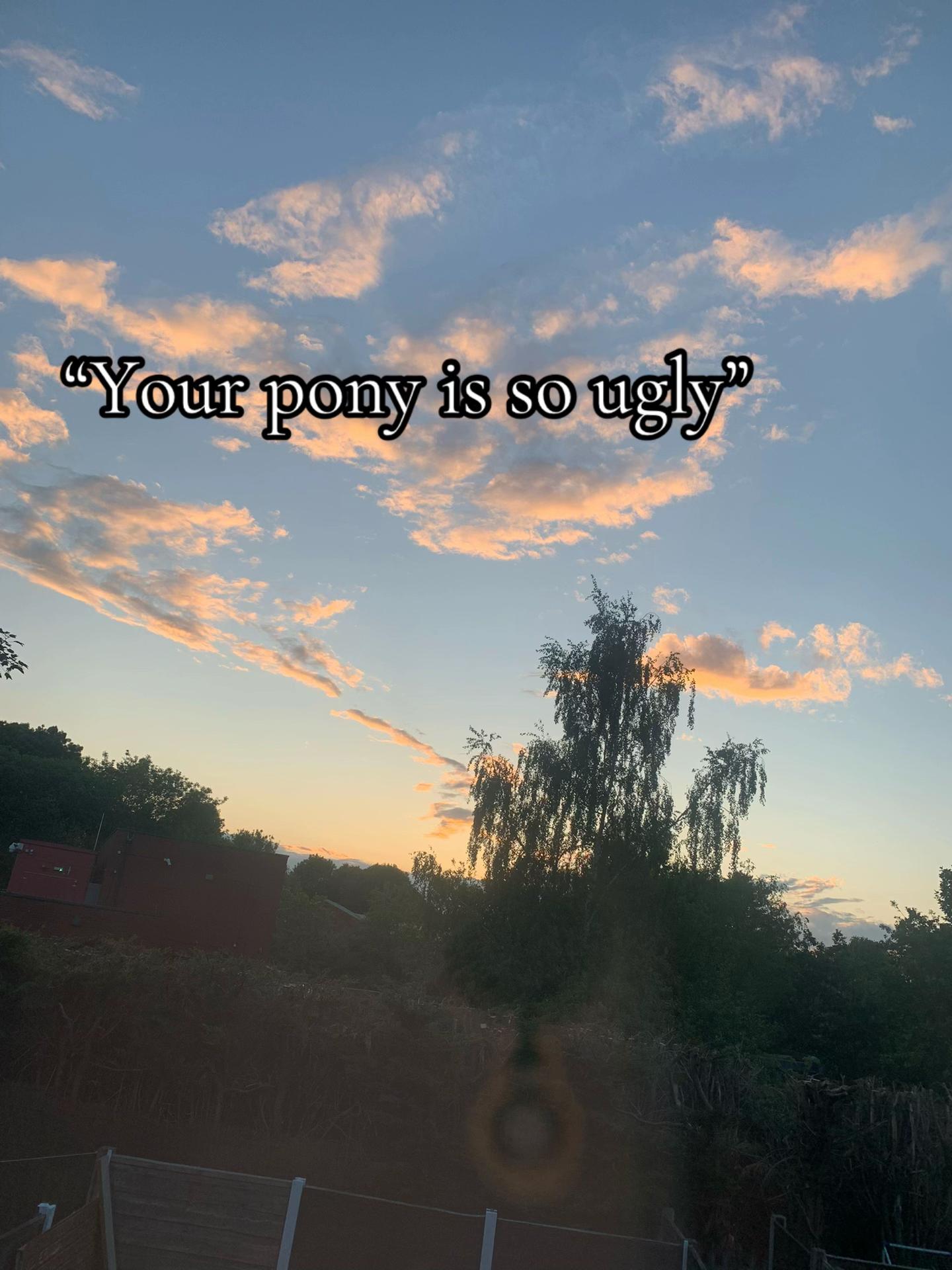 @Emilyy🐎🐴💗