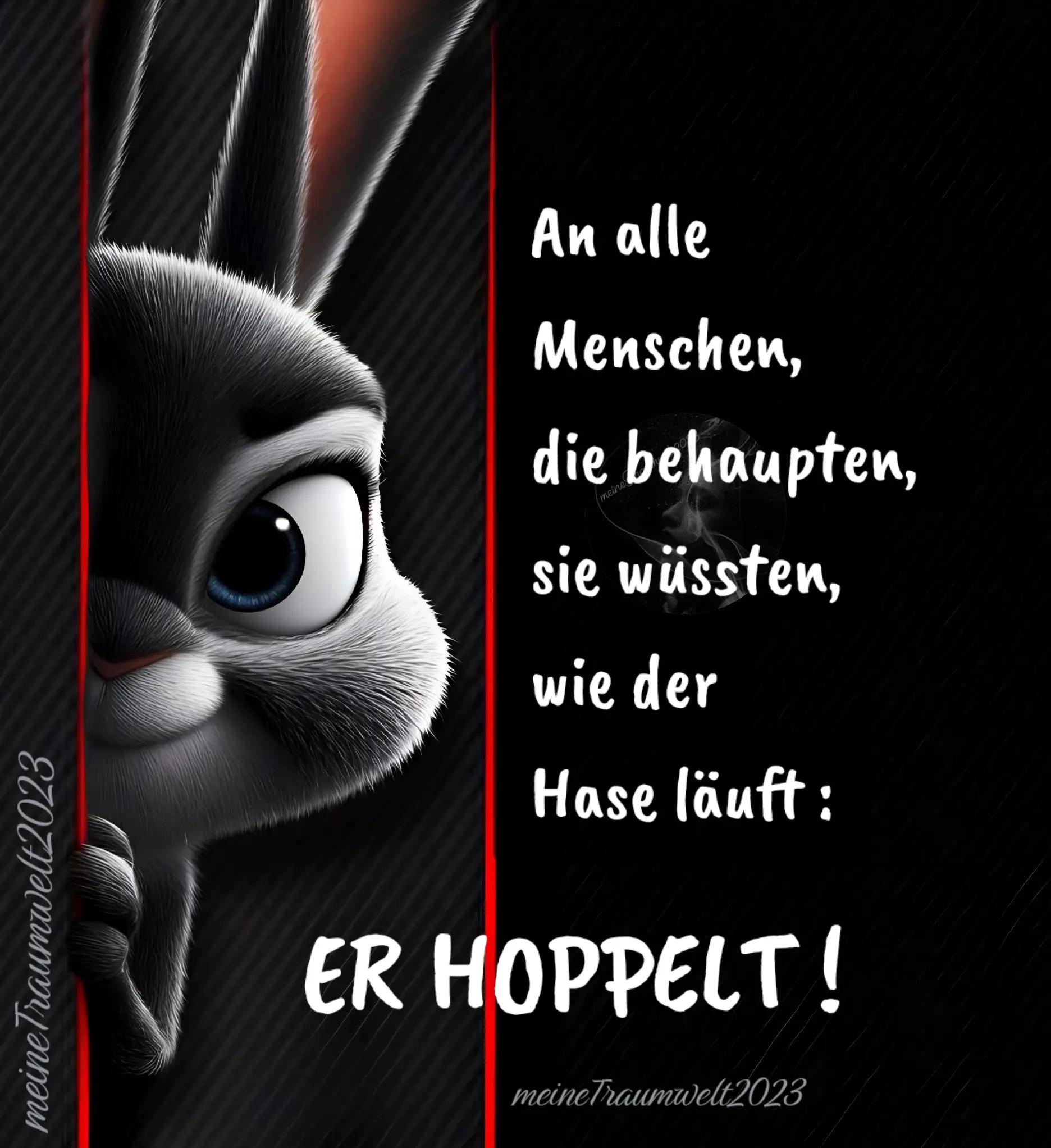 @meineTraumwelt2023