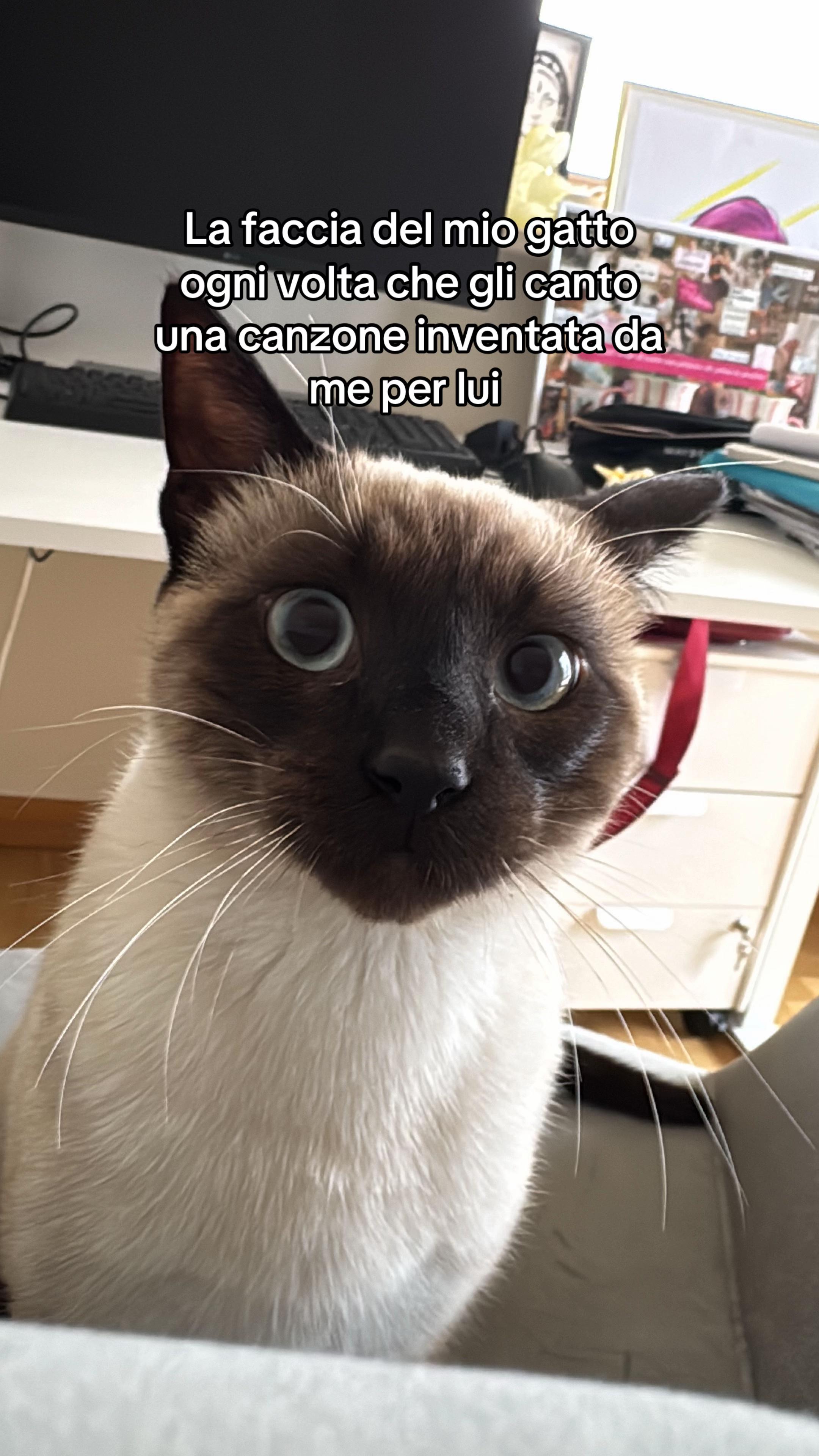 @twilight princess