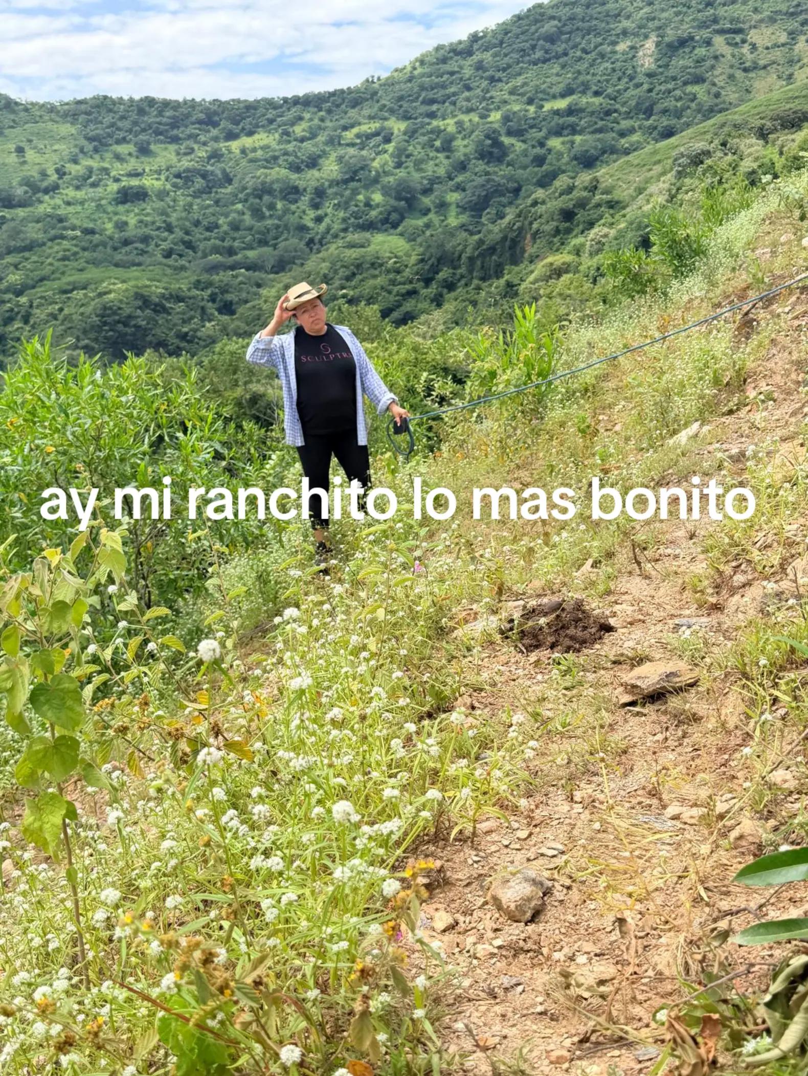 @clararabadan292