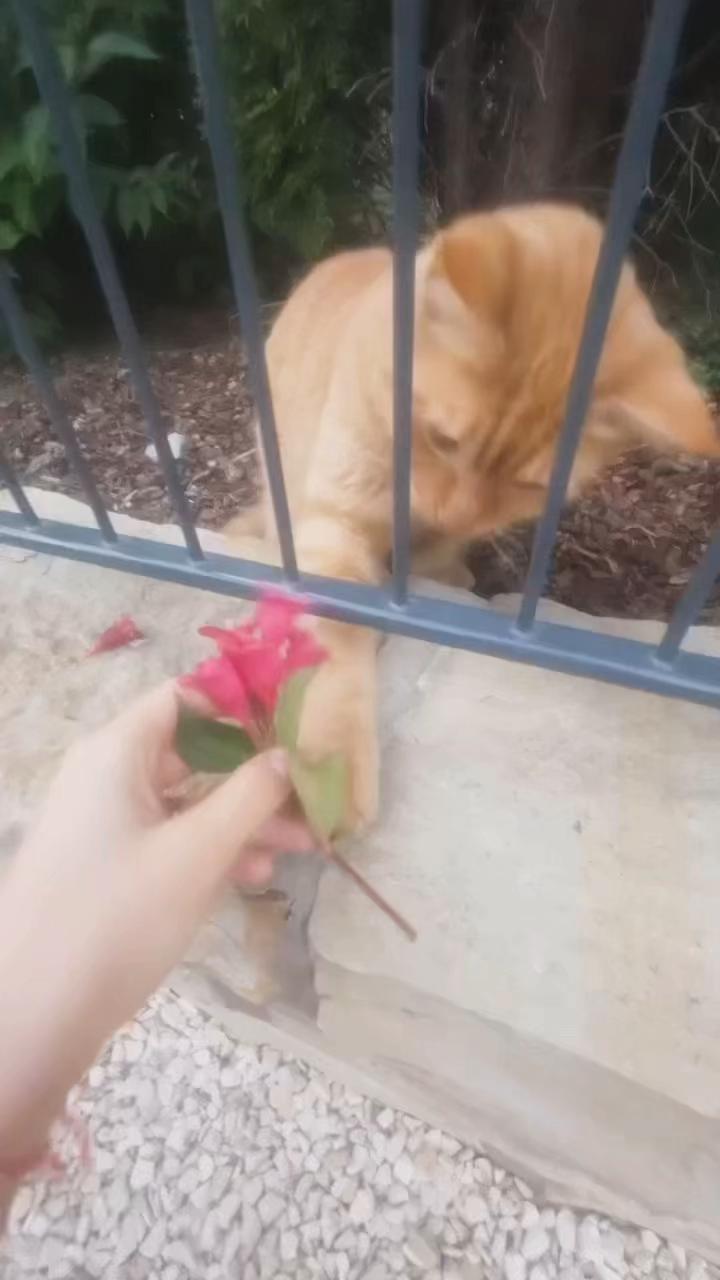 @๐‘๐