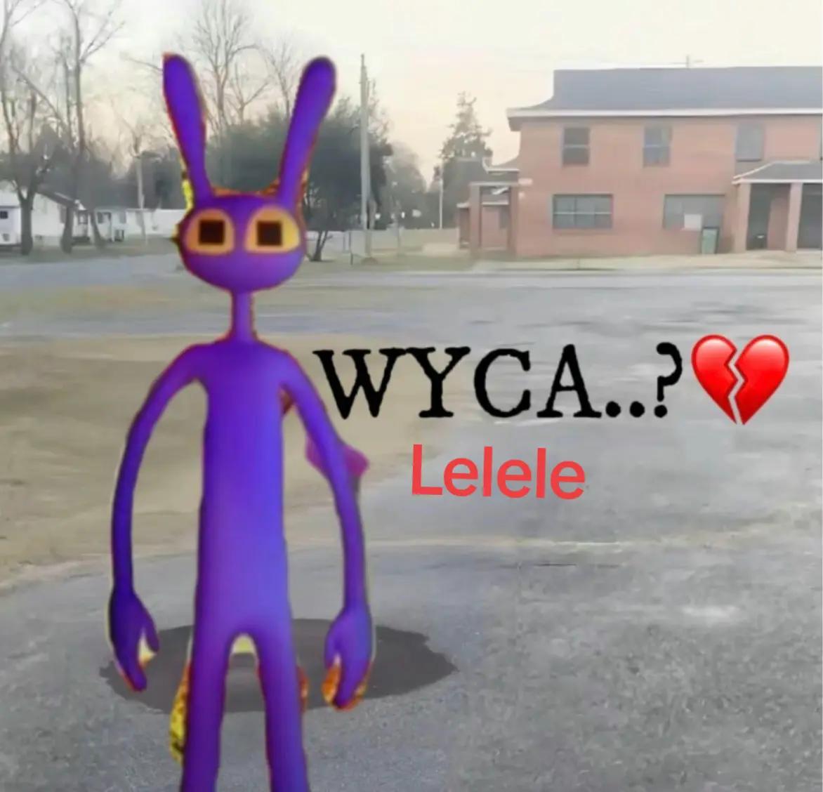 @Ms. Moon yorkie