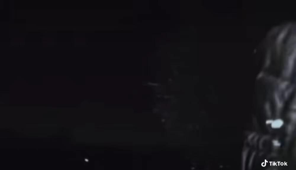 @🦈🦈
