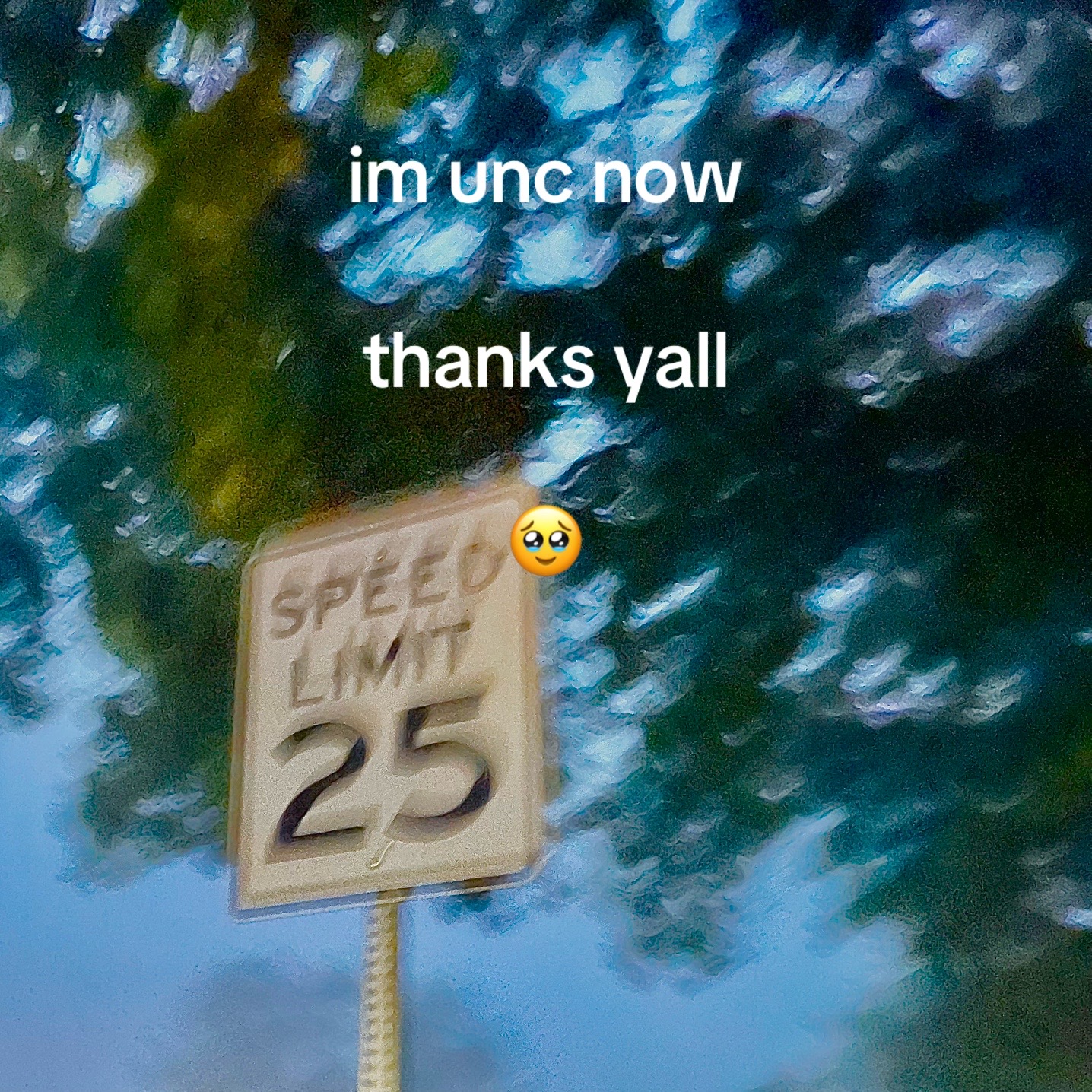 @seewhy