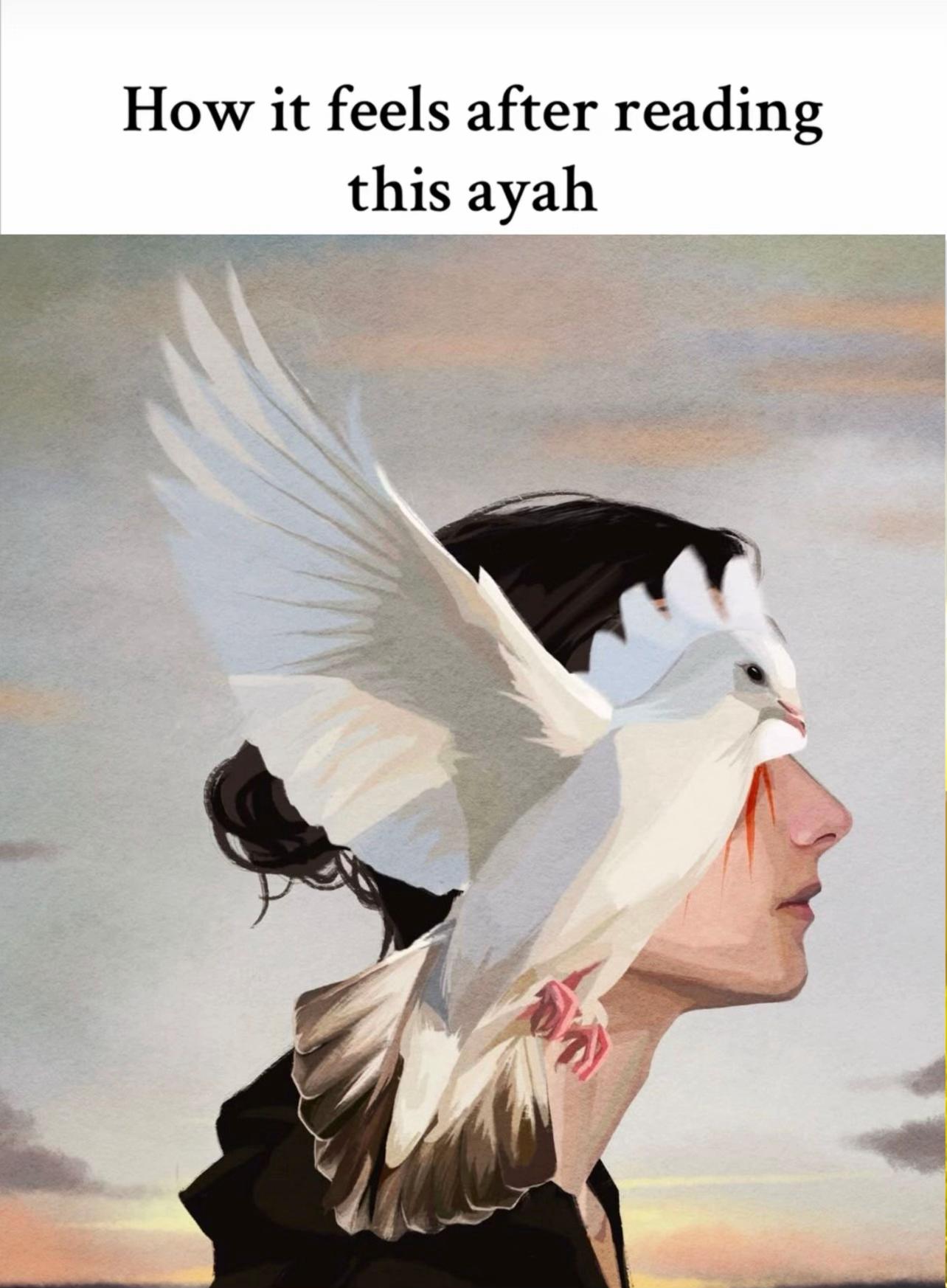 @englishtranslatedquran