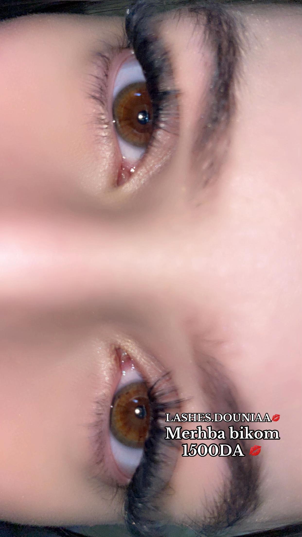 @LASHES.DOUNIA