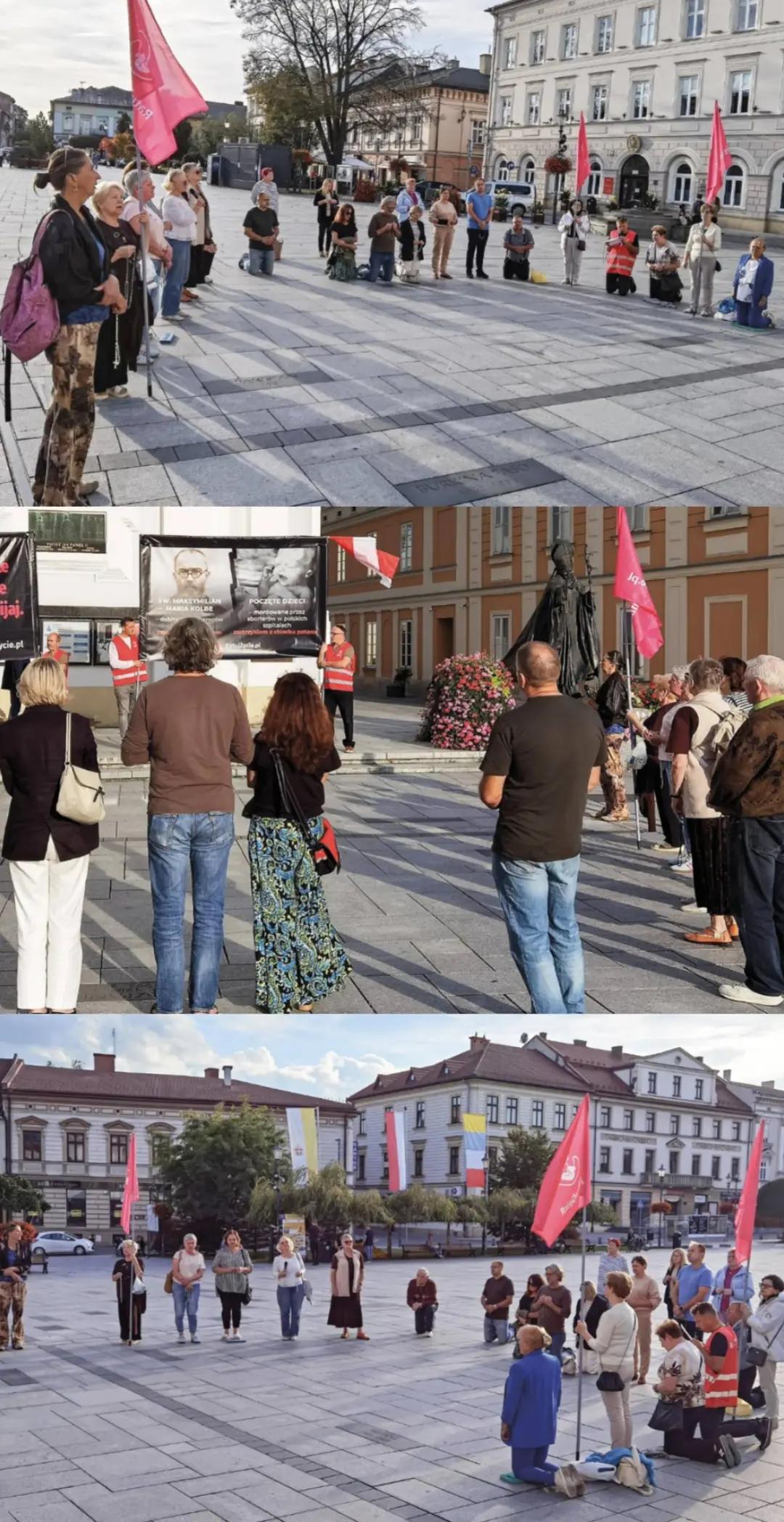 @Fundacja Życie i Rodzina