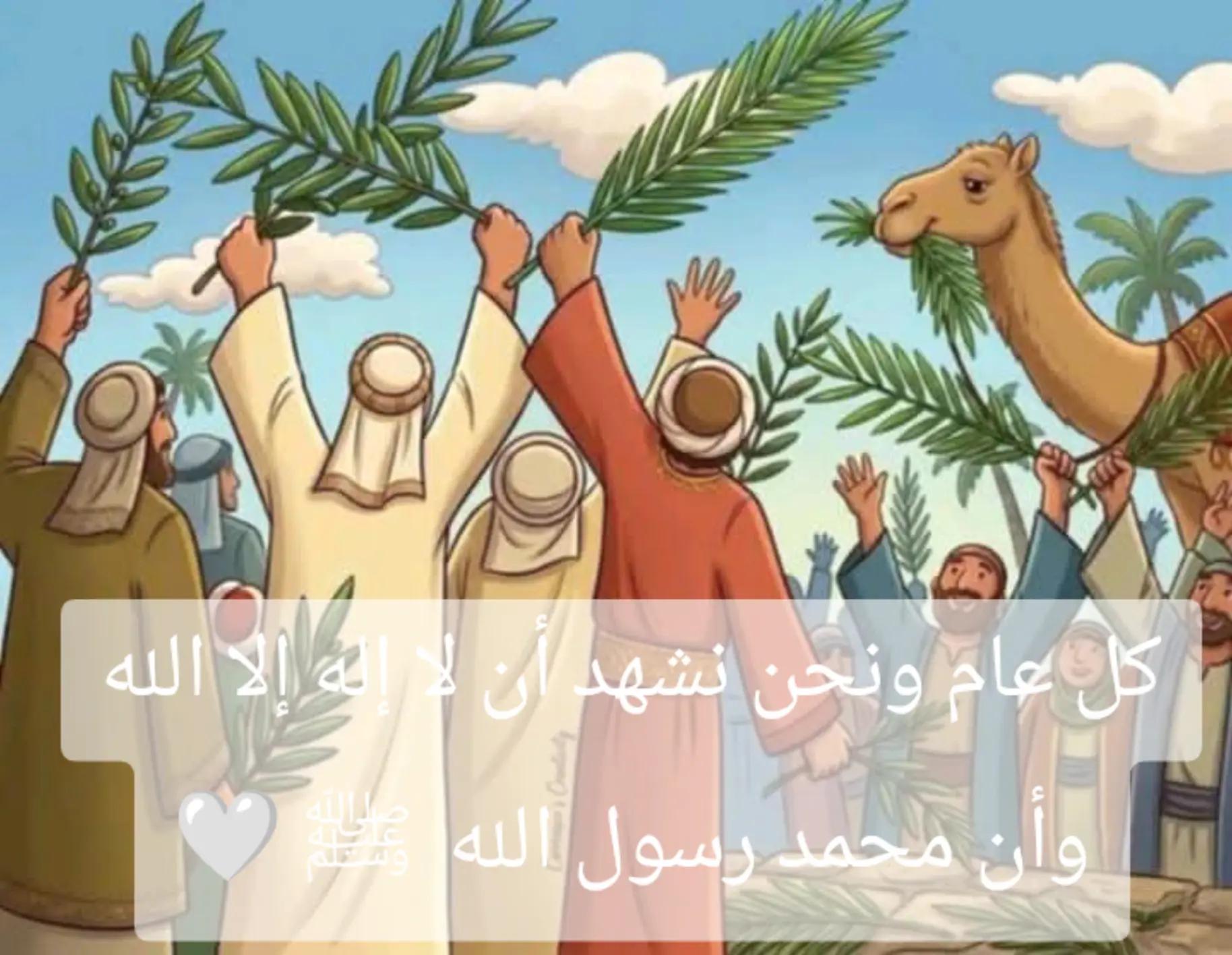 @mohammed mosleH